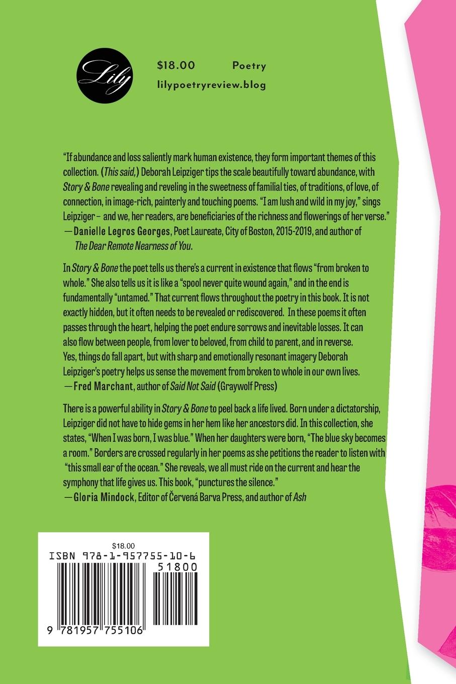 Rückseitencover Story & Bone