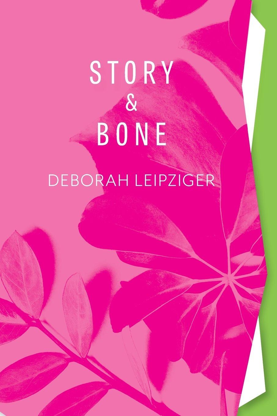 Vorderes Coverbild Story & Bone
