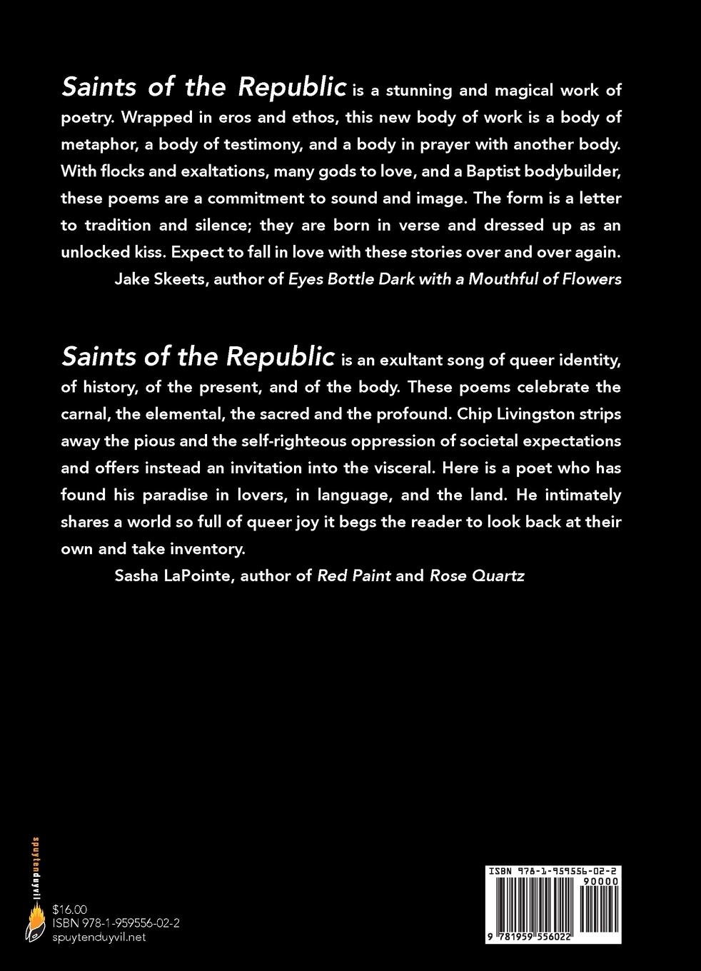 Rückseitencover Saints of the Republic