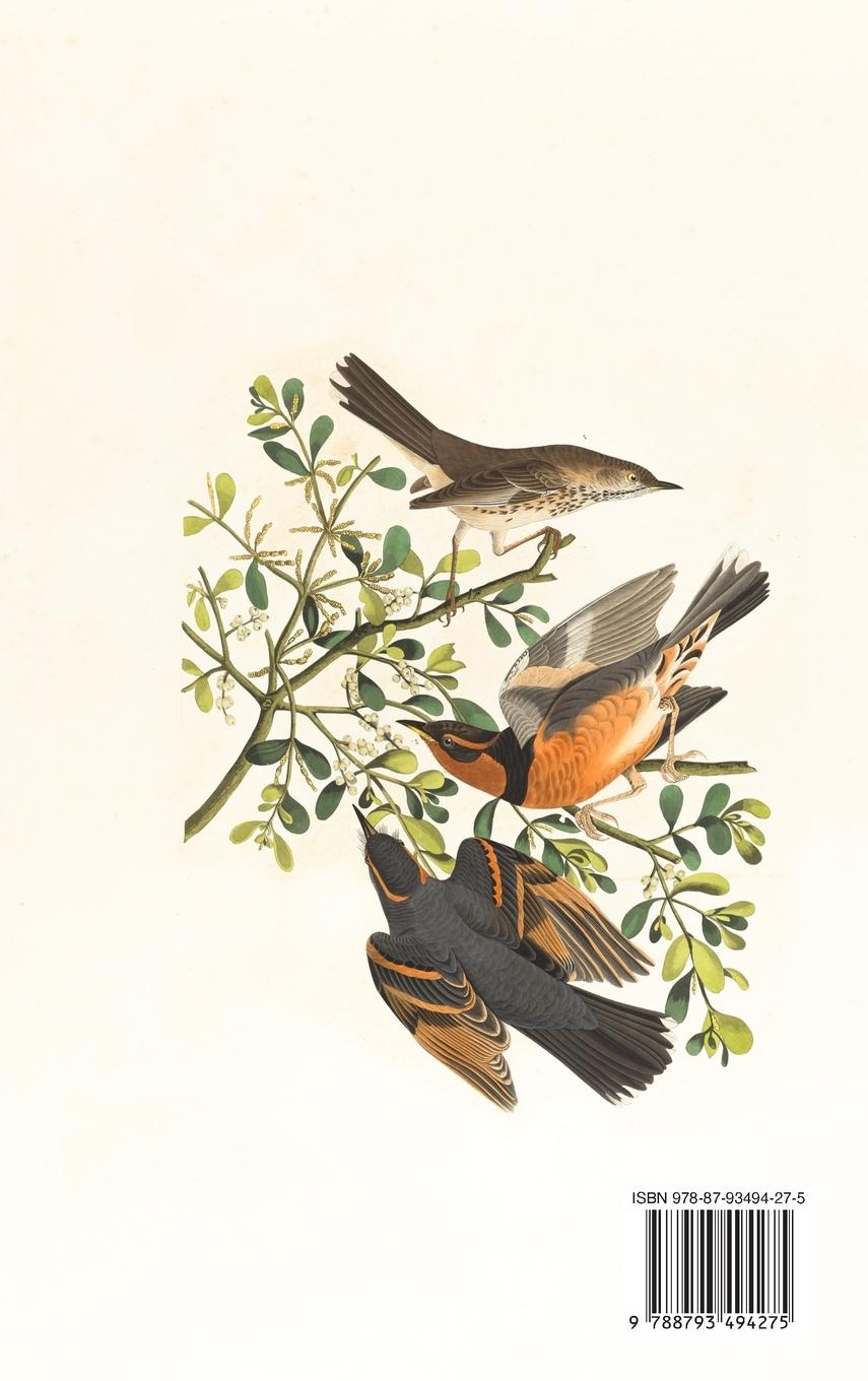 Rückseitencover Self-Reliance and Nature