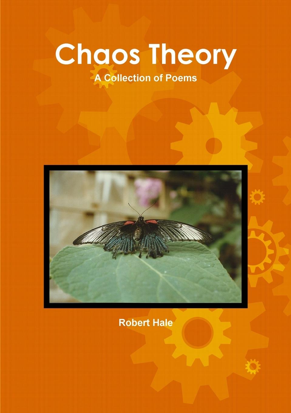 Vorderes Coverbild Chaos Theory