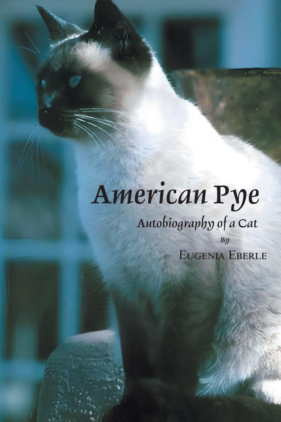 Vorderes Coverbild American Pye