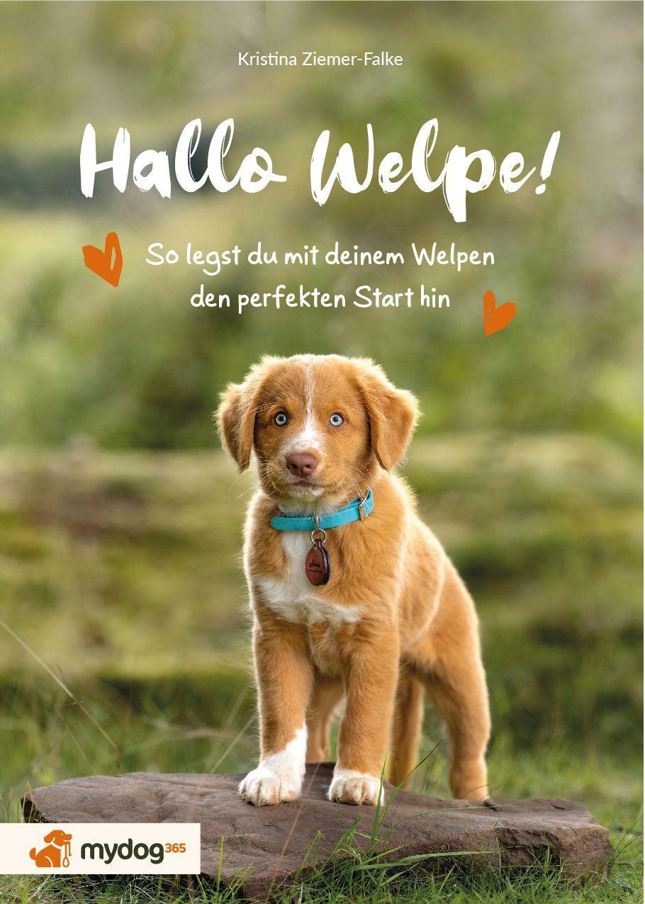Vorderes Coverbild Hallo Welpe!