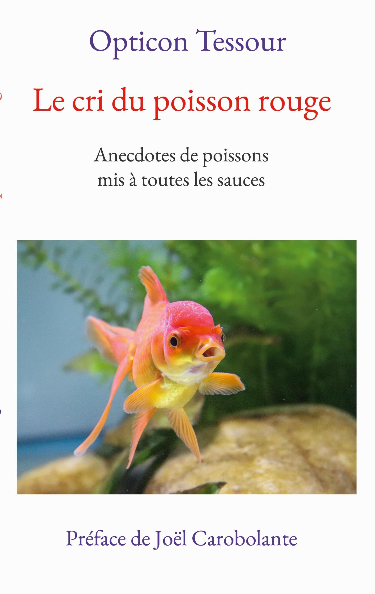 Vorderes Coverbild Le cri du poisson rouge