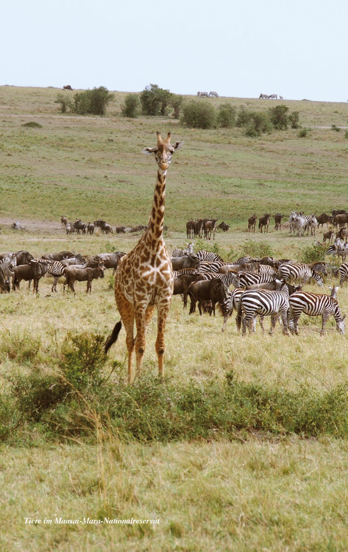 Beispielinhalt (Bild) TRESCHER Reiseführer Kenia
