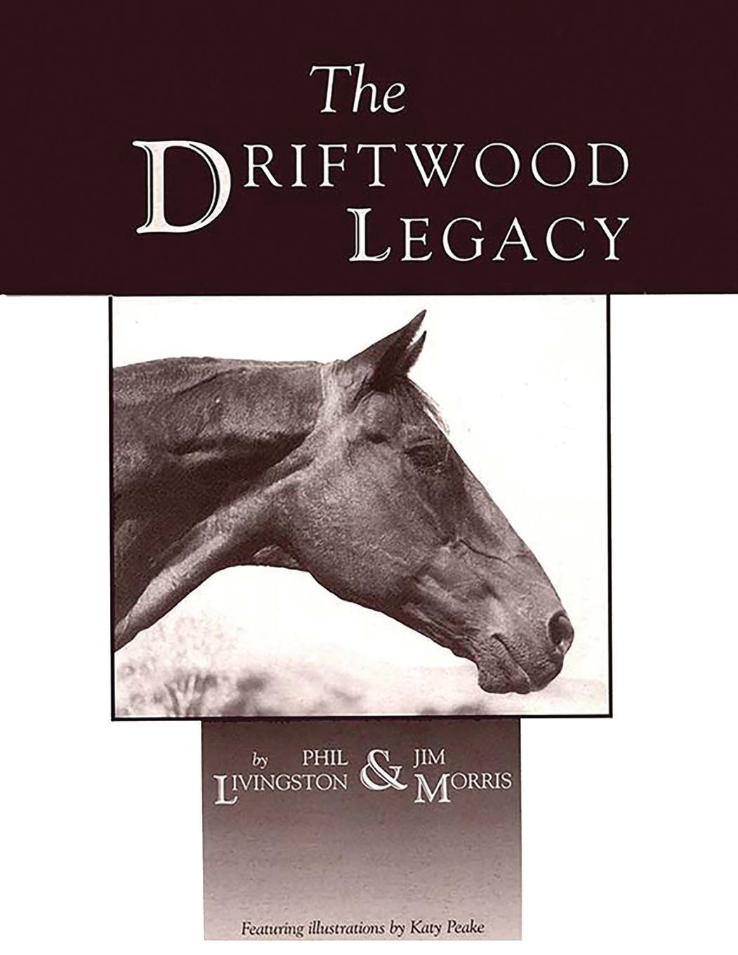 Vorderes Coverbild The Driftwood Legacy