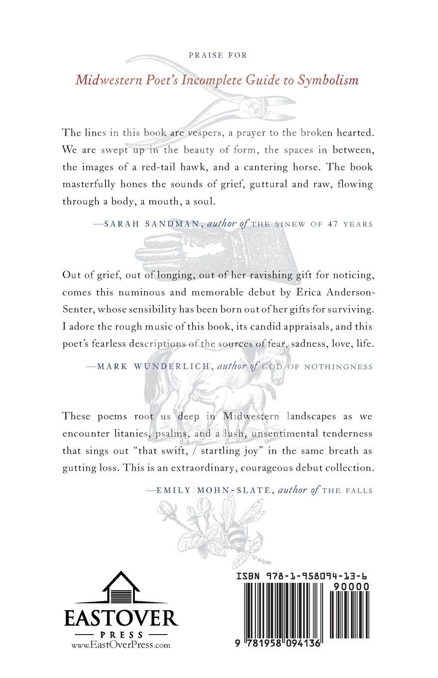 Rückseitencover Midwestern Poet's Incomplete Guide to Symbolism
