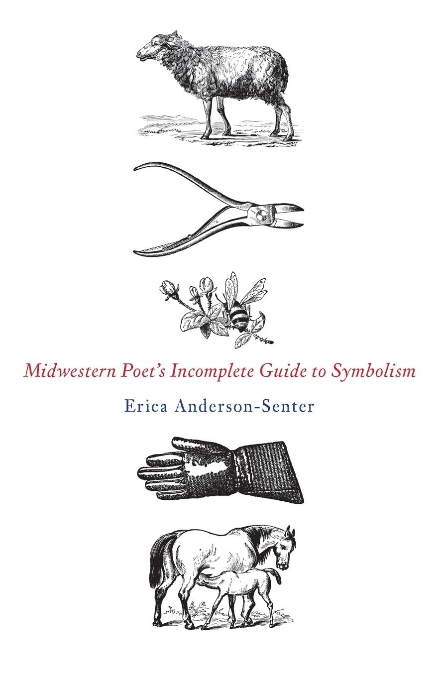 Vorderes Coverbild Midwestern Poet's Incomplete Guide to Symbolism