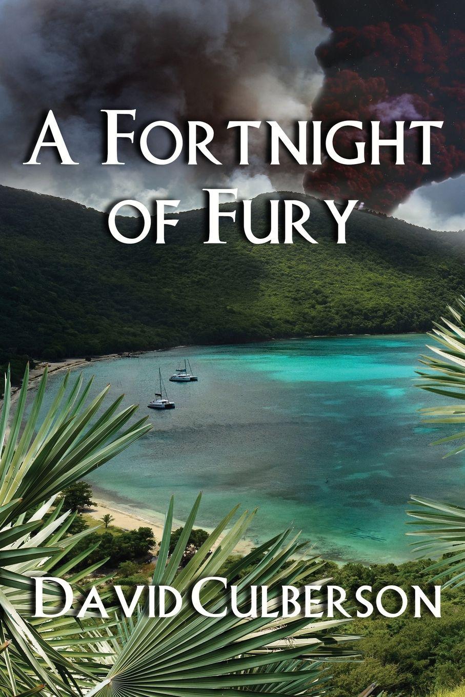 Vorderes Coverbild A Fortnight of Fury