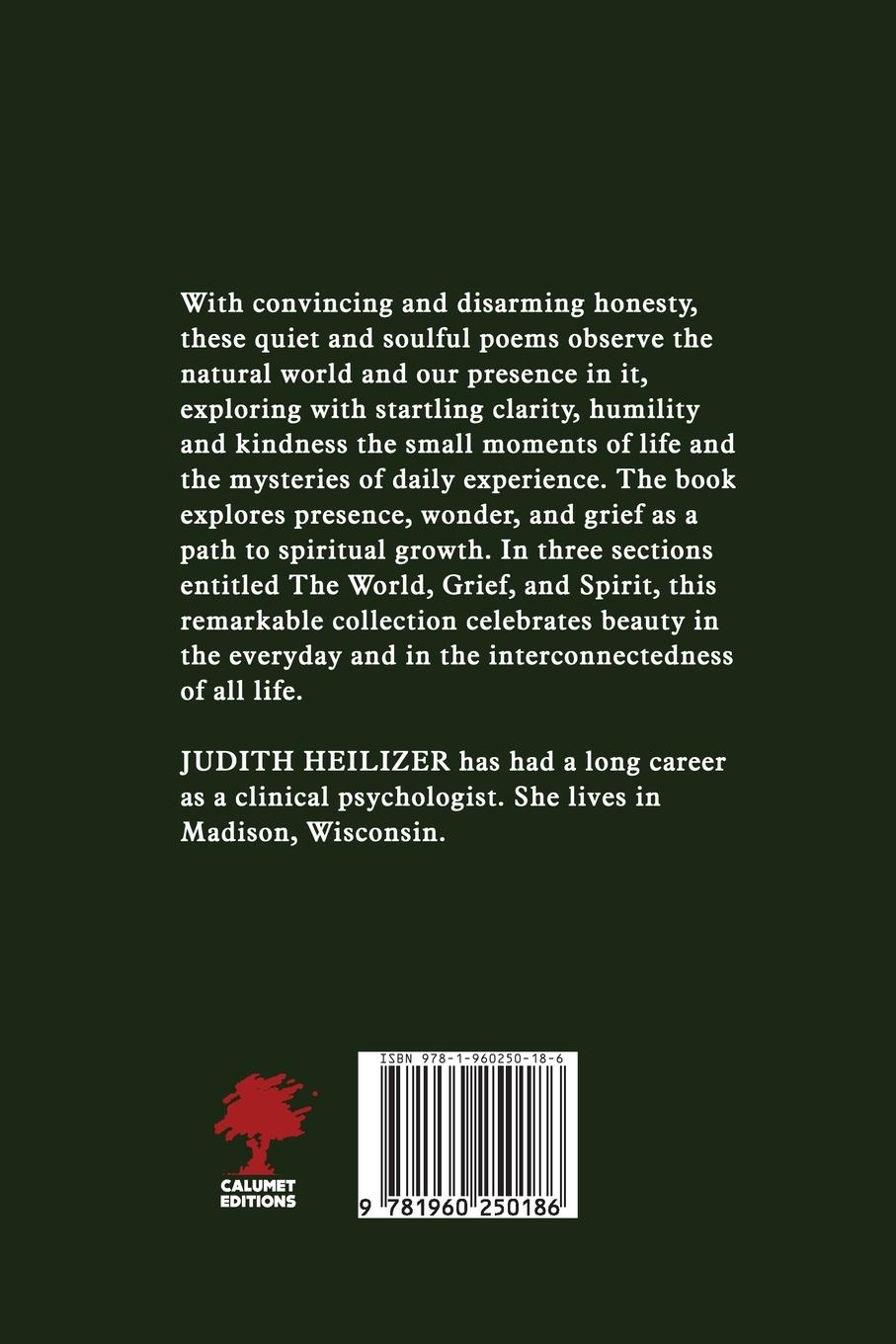 Rückseitencover The Sun Rises as Does the Moon