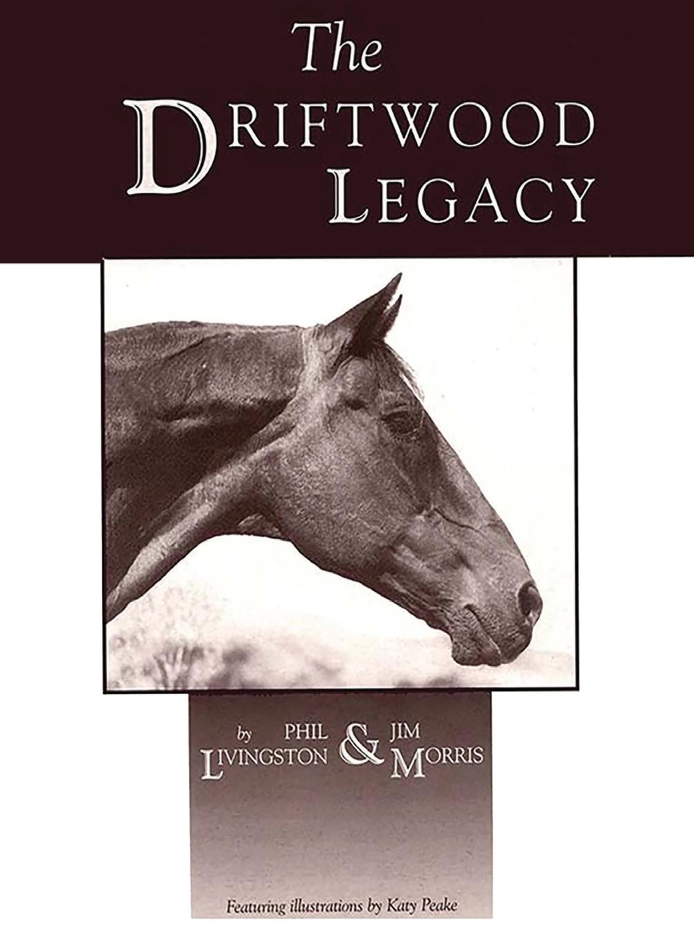 Vorderes Coverbild Driftwood Legacy