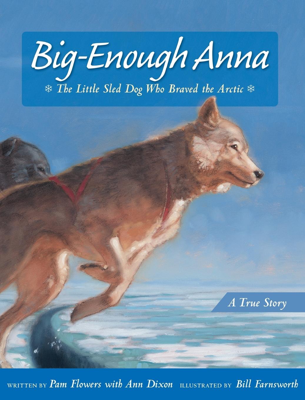 Vorderes Coverbild Big-Enough Anna