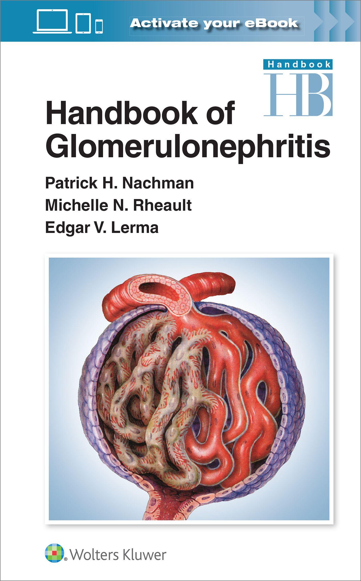Vorderes Coverbild Handbook of Glomerulonephritis