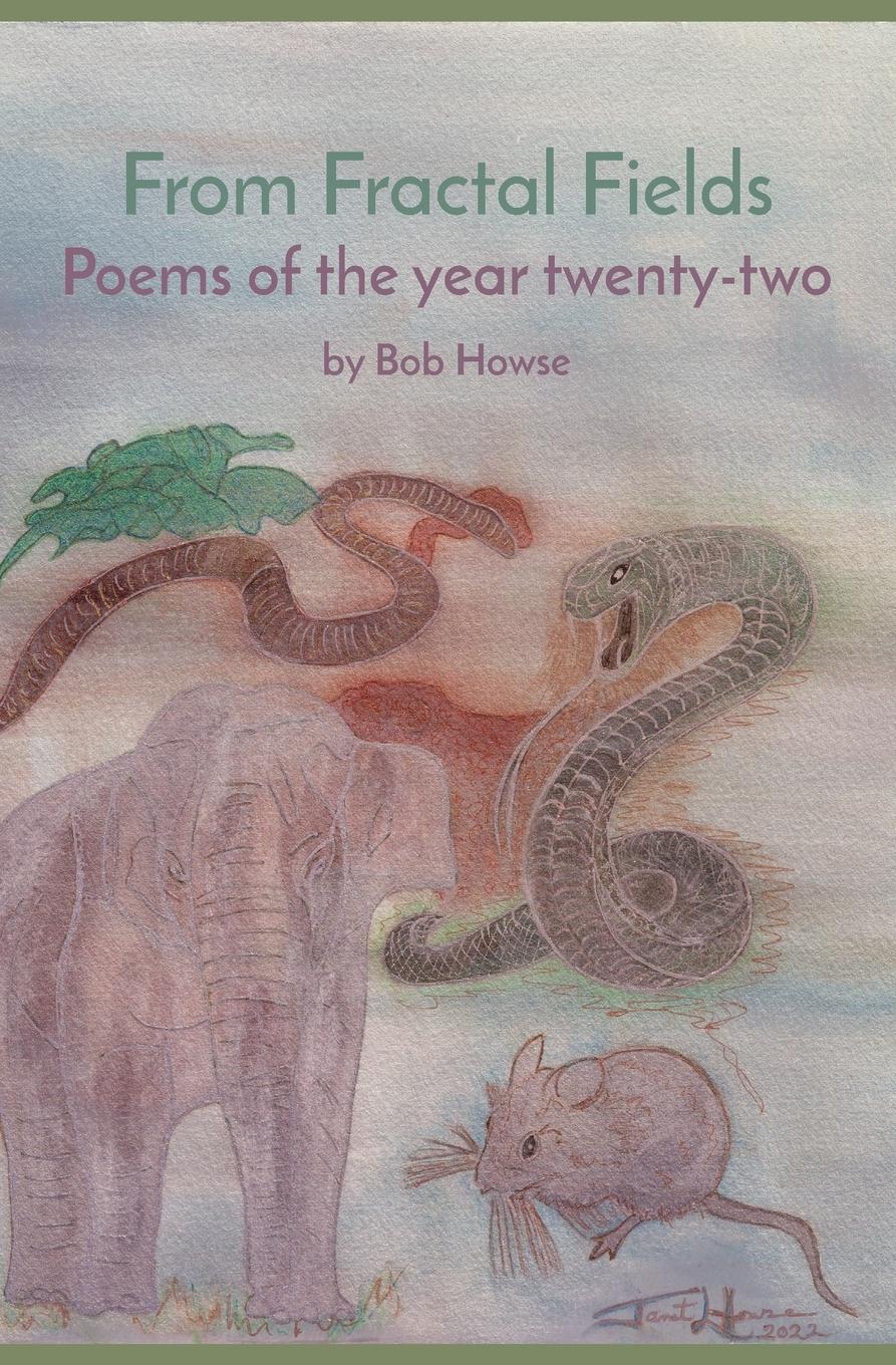 Vorderes Coverbild From Fractal Fields