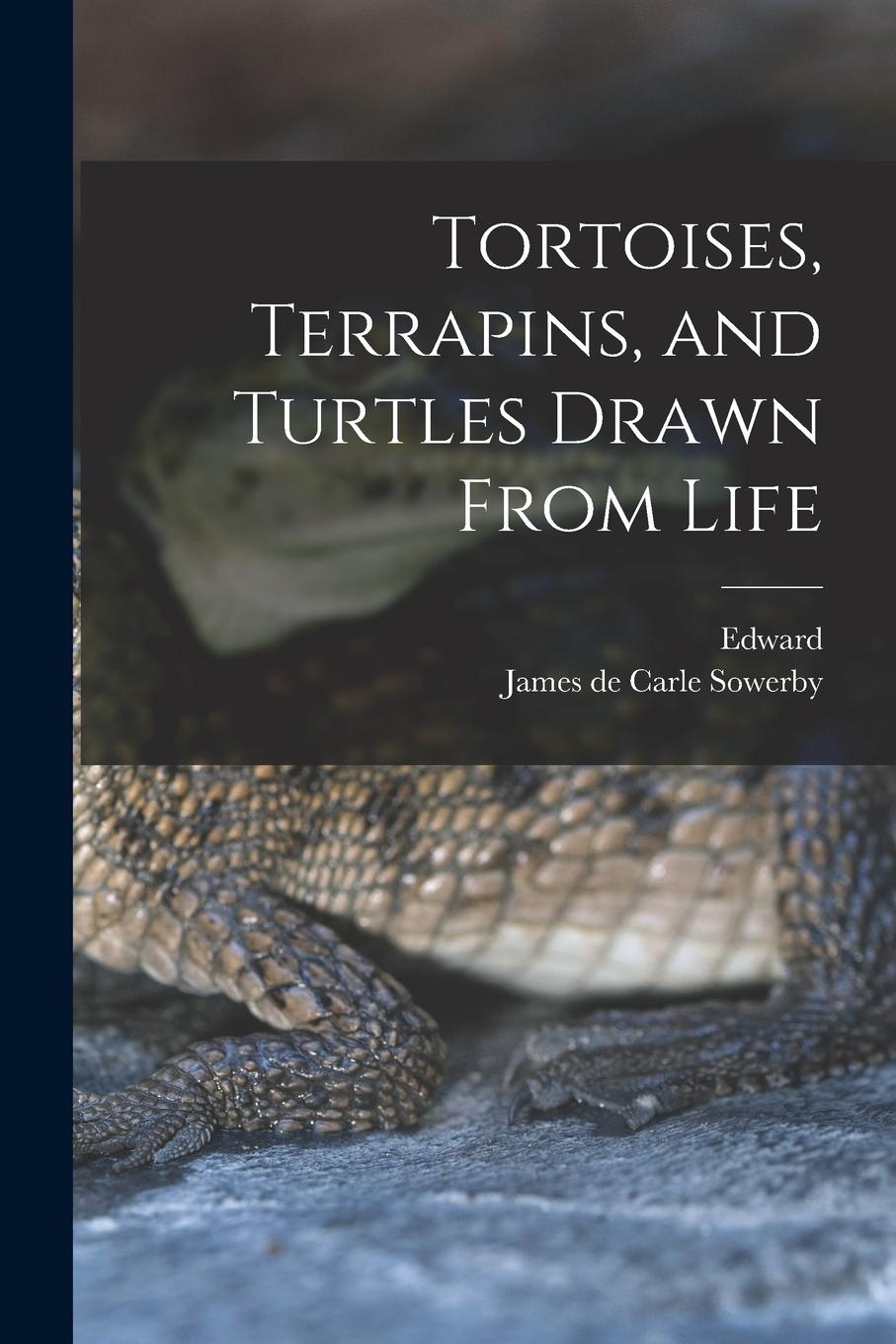 Vorderes Coverbild Tortoises, Terrapins, and Turtles Drawn From Life