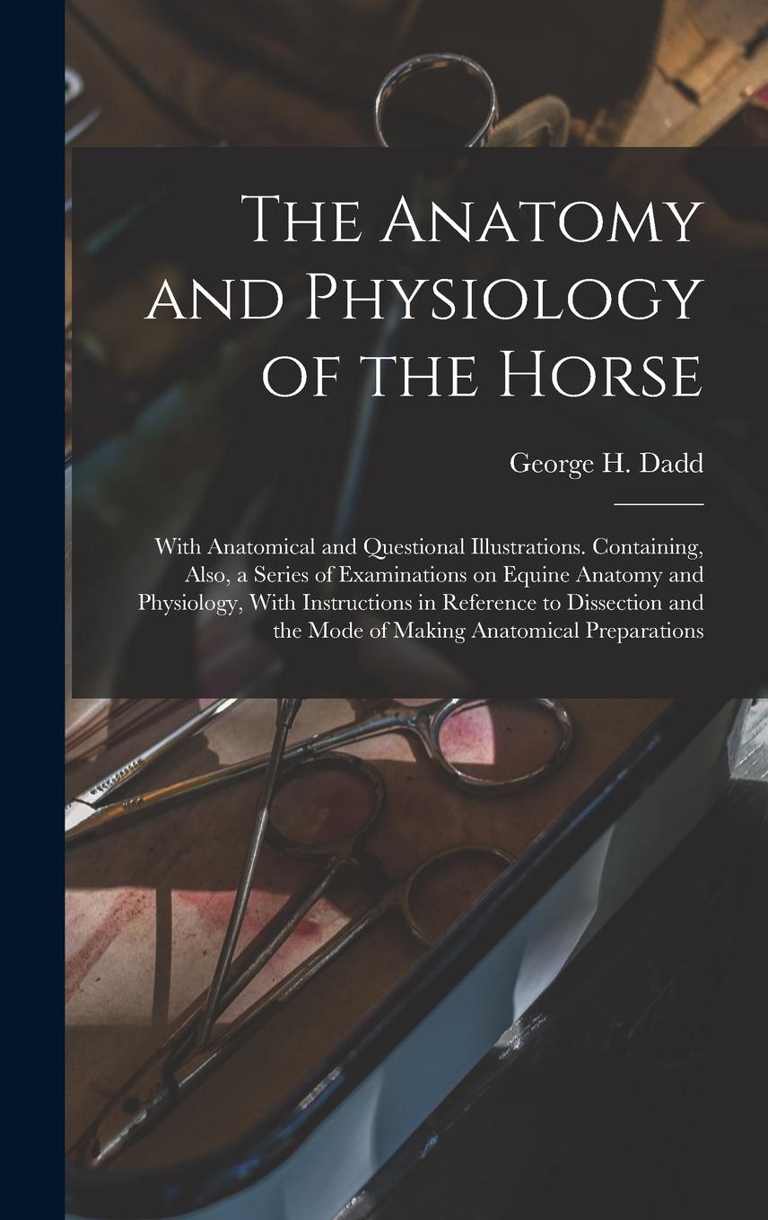 Vorderes Coverbild The Anatomy and Physiology of the Horse: With Anatomical and Questional Illustrations. Containing, Also, a Series of Examinations on Equine Anatomy an