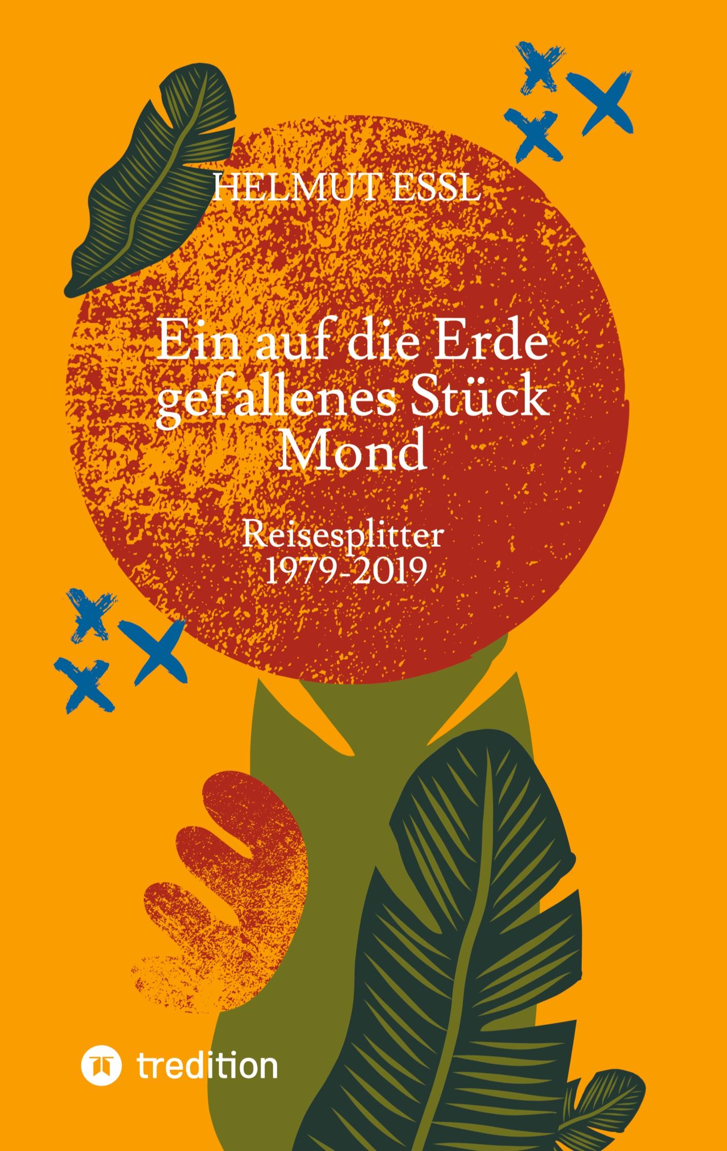 Vorderes Coverbild Ein auf die Erde gefallenes Stück Mond