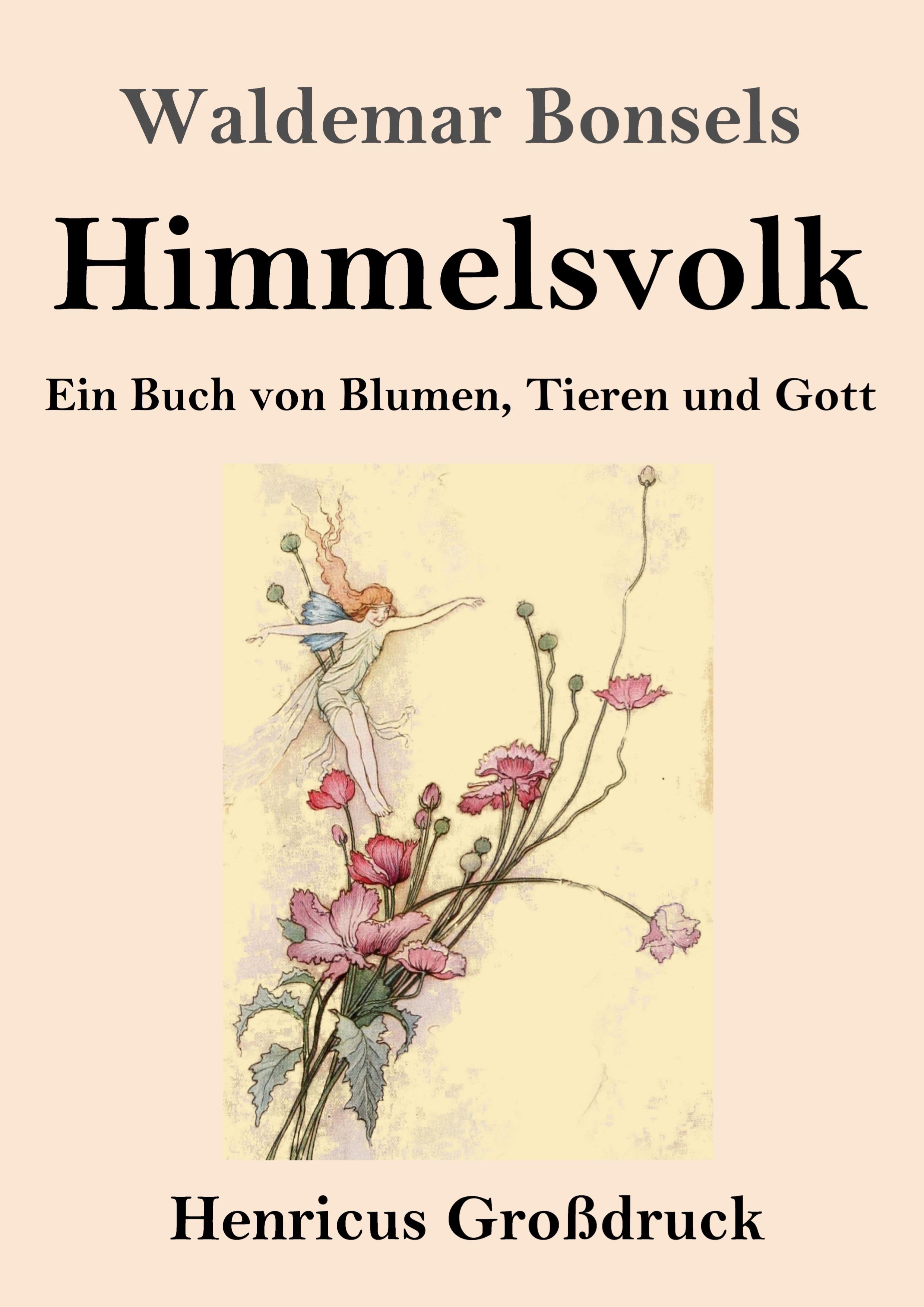 Vorderes Coverbild Himmelsvolk (Großdruck)