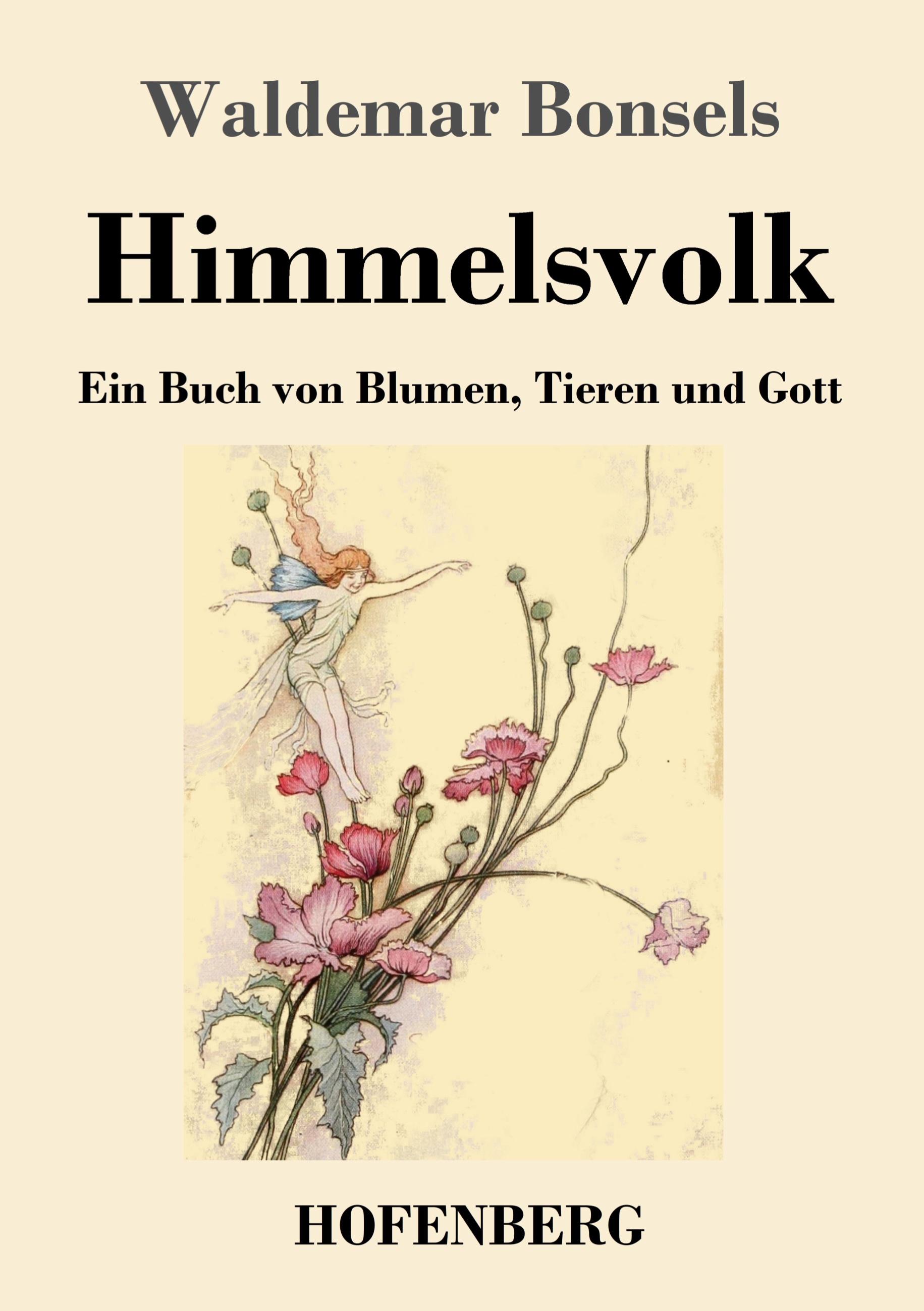 Vorderes Coverbild Himmelsvolk