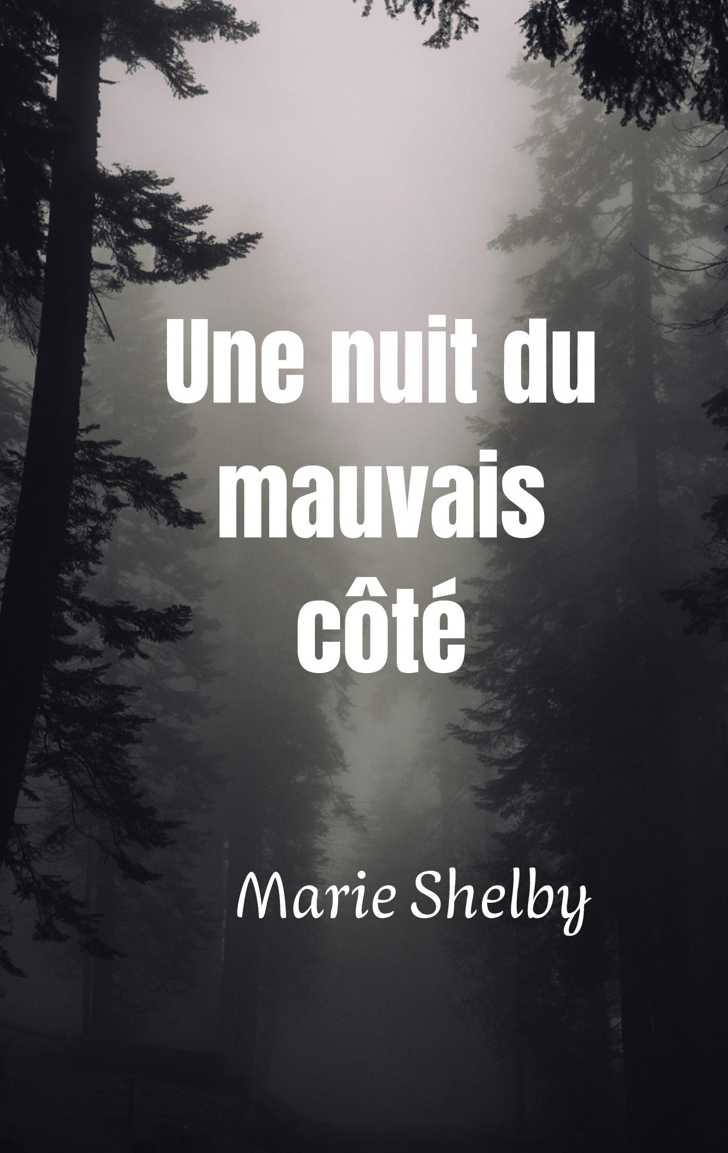Vorderes Coverbild Une nuit du mauvais côté