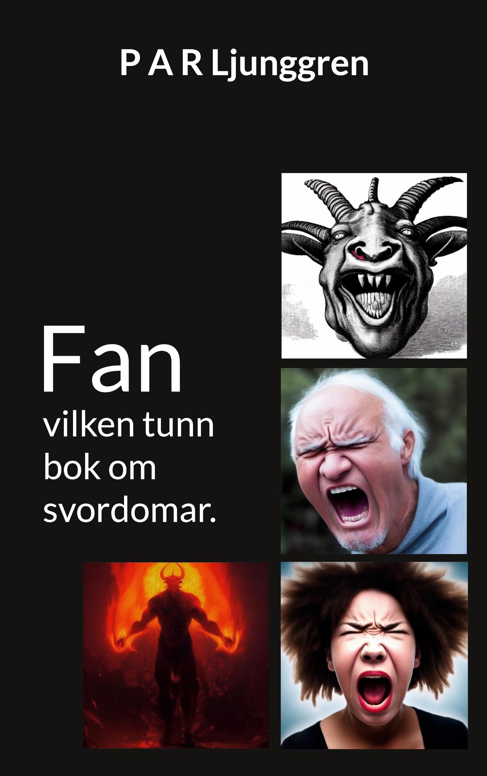 Vorderes Coverbild Fan