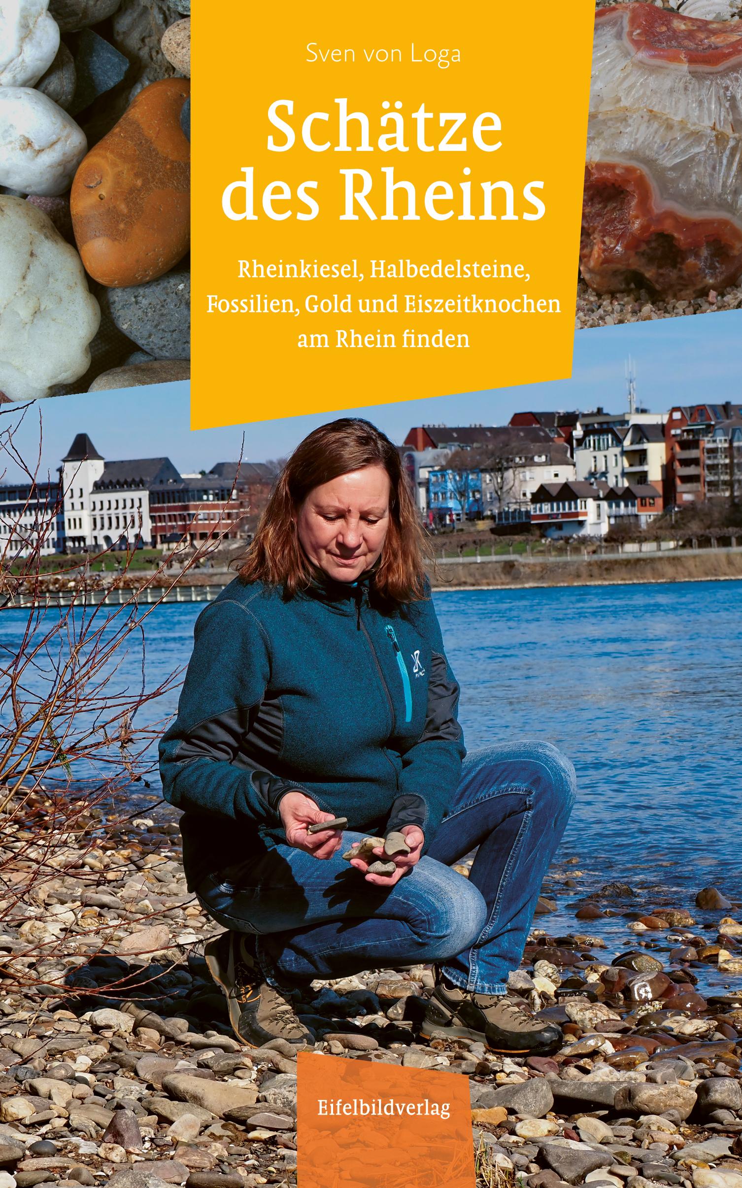 Vorderes Coverbild Schätze des Rheins