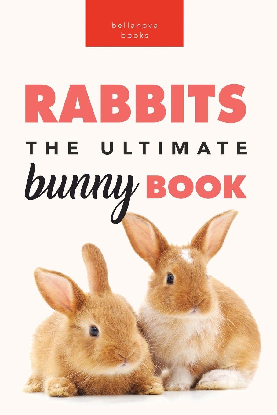 Vorderes Coverbild Rabbits