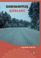 Vorderes Coverbild Sarikamis Siirleri