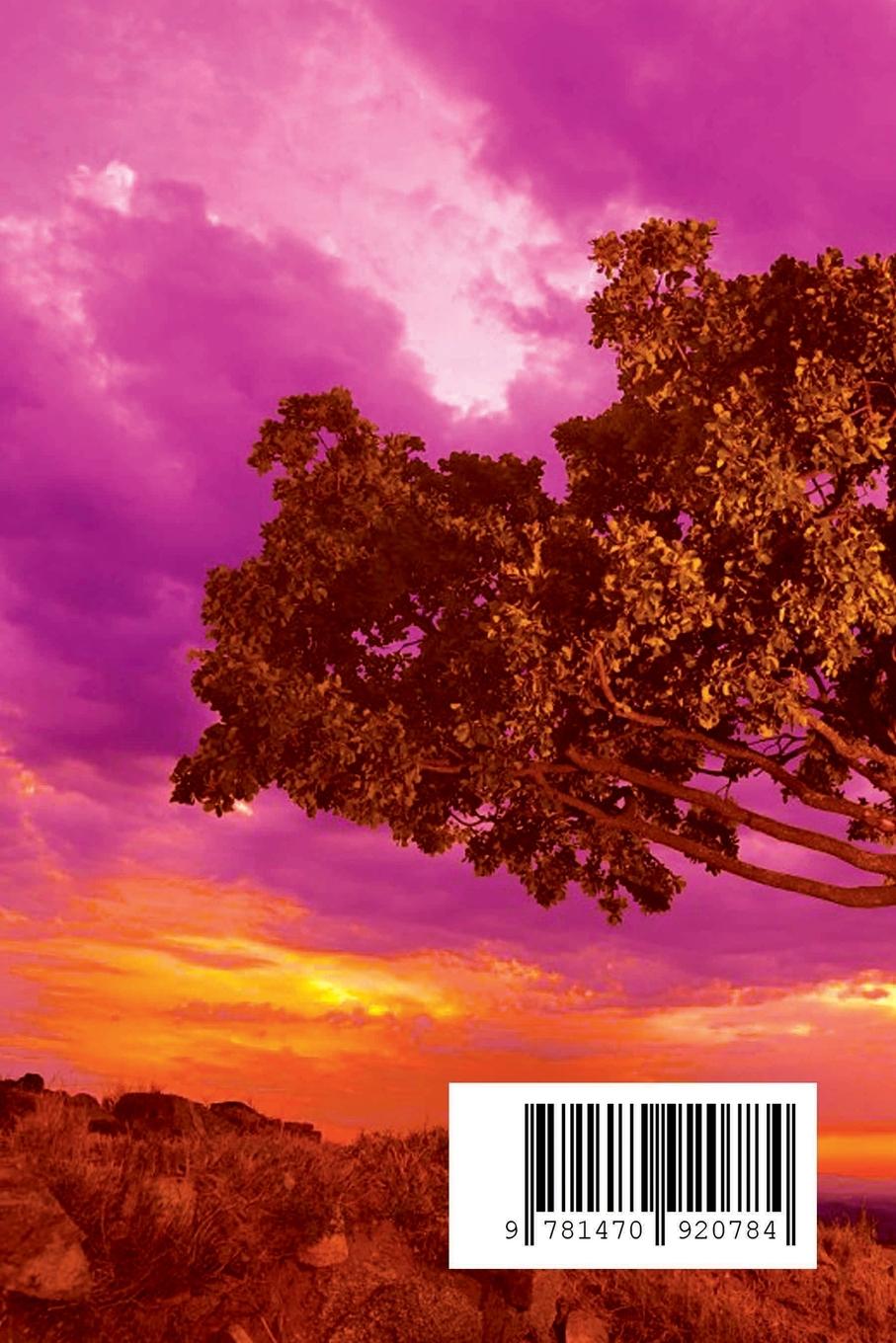 Rückseitencover Platan