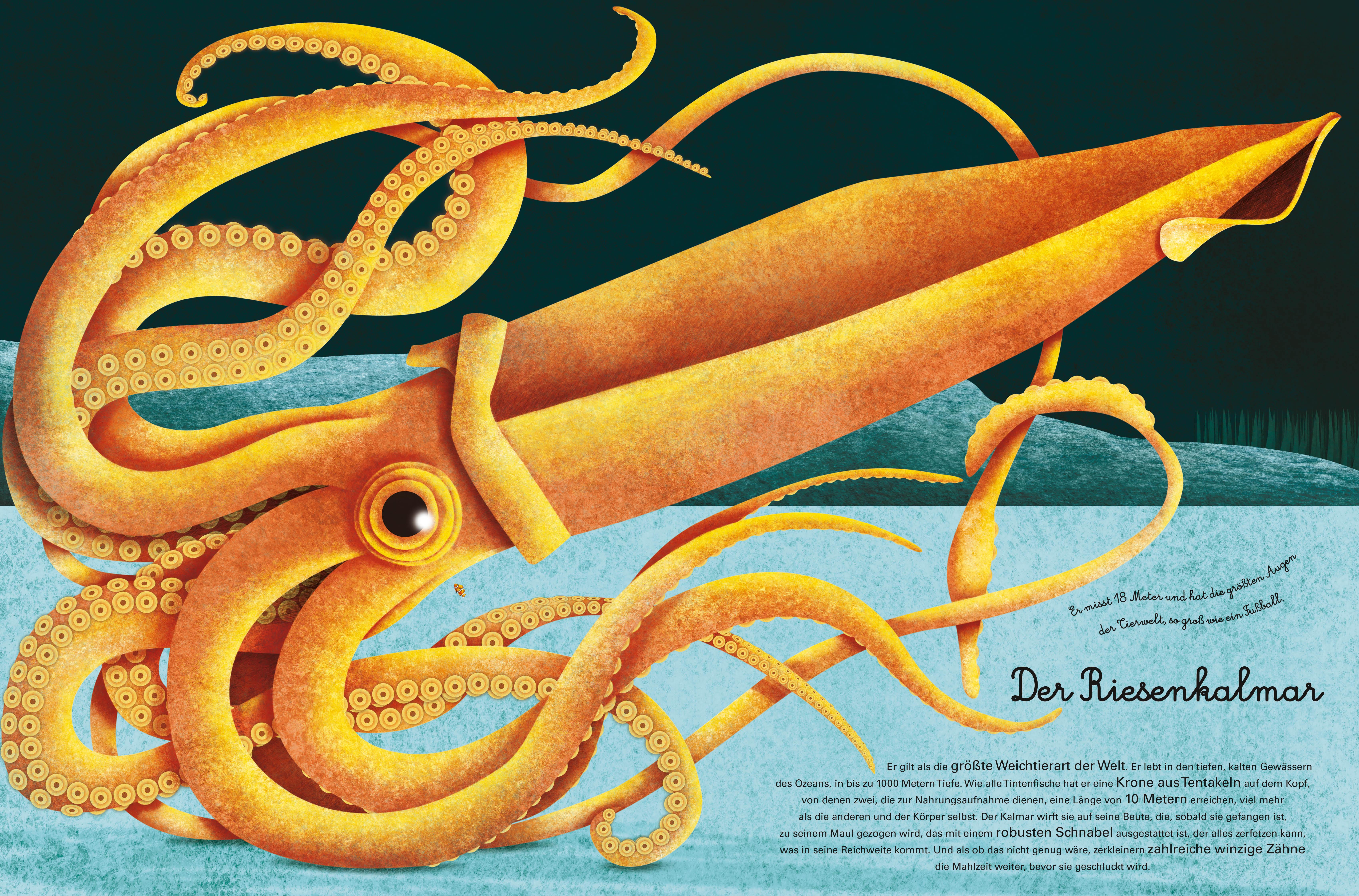 Beispielinhalt (Bild) Das große Buch der Seetiere. Das kleine Buch der Seetiere