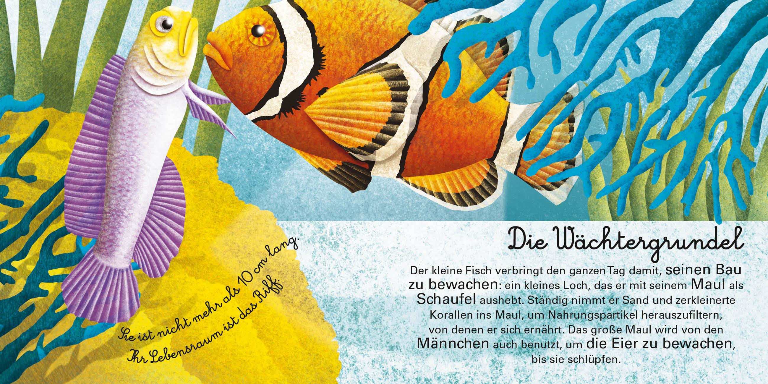 Beispielinhalt (Bild) Das große Buch der Seetiere. Das kleine Buch der Seetiere