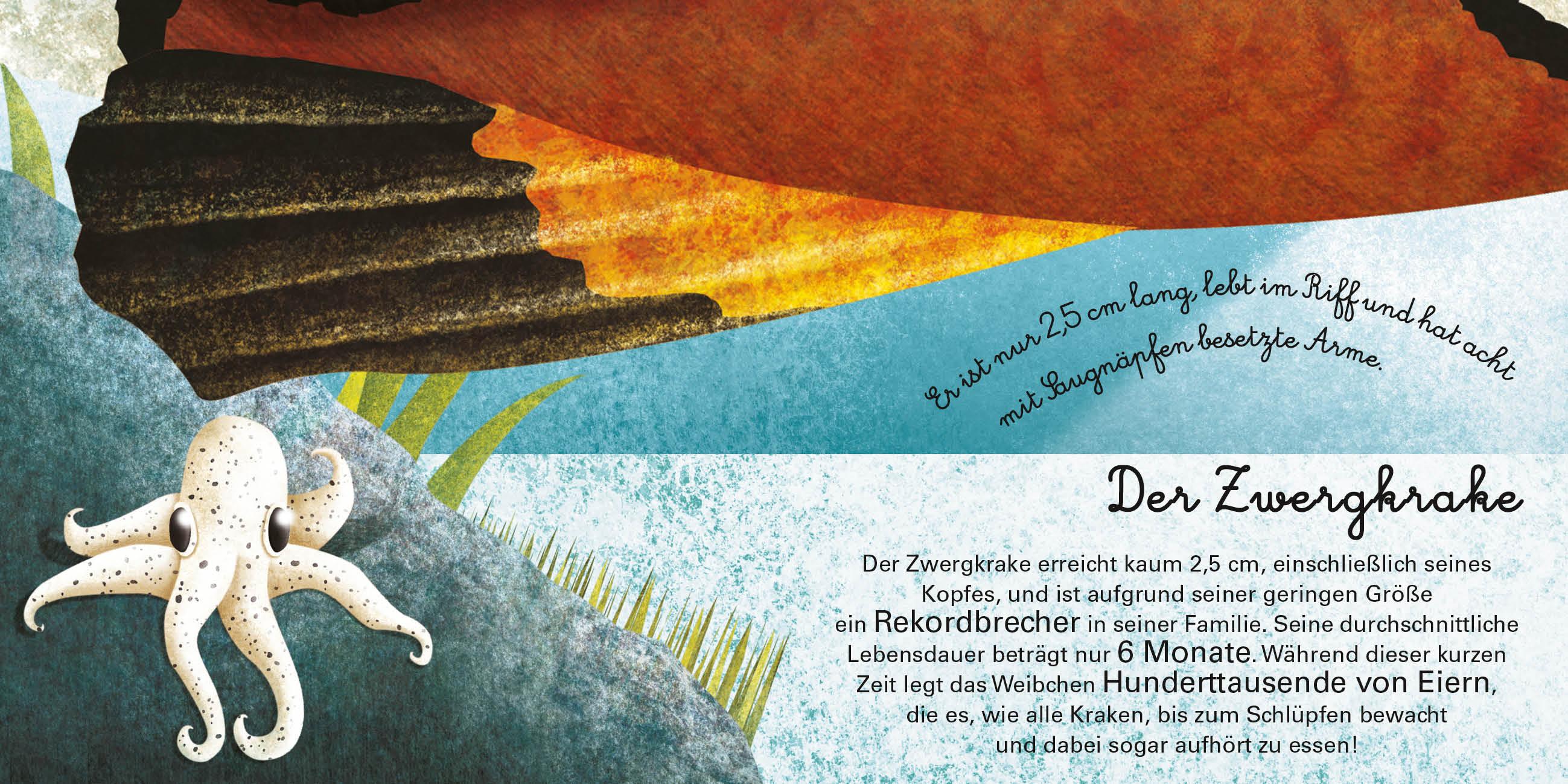 Beispielinhalt (Bild) Das große Buch der Seetiere. Das kleine Buch der Seetiere