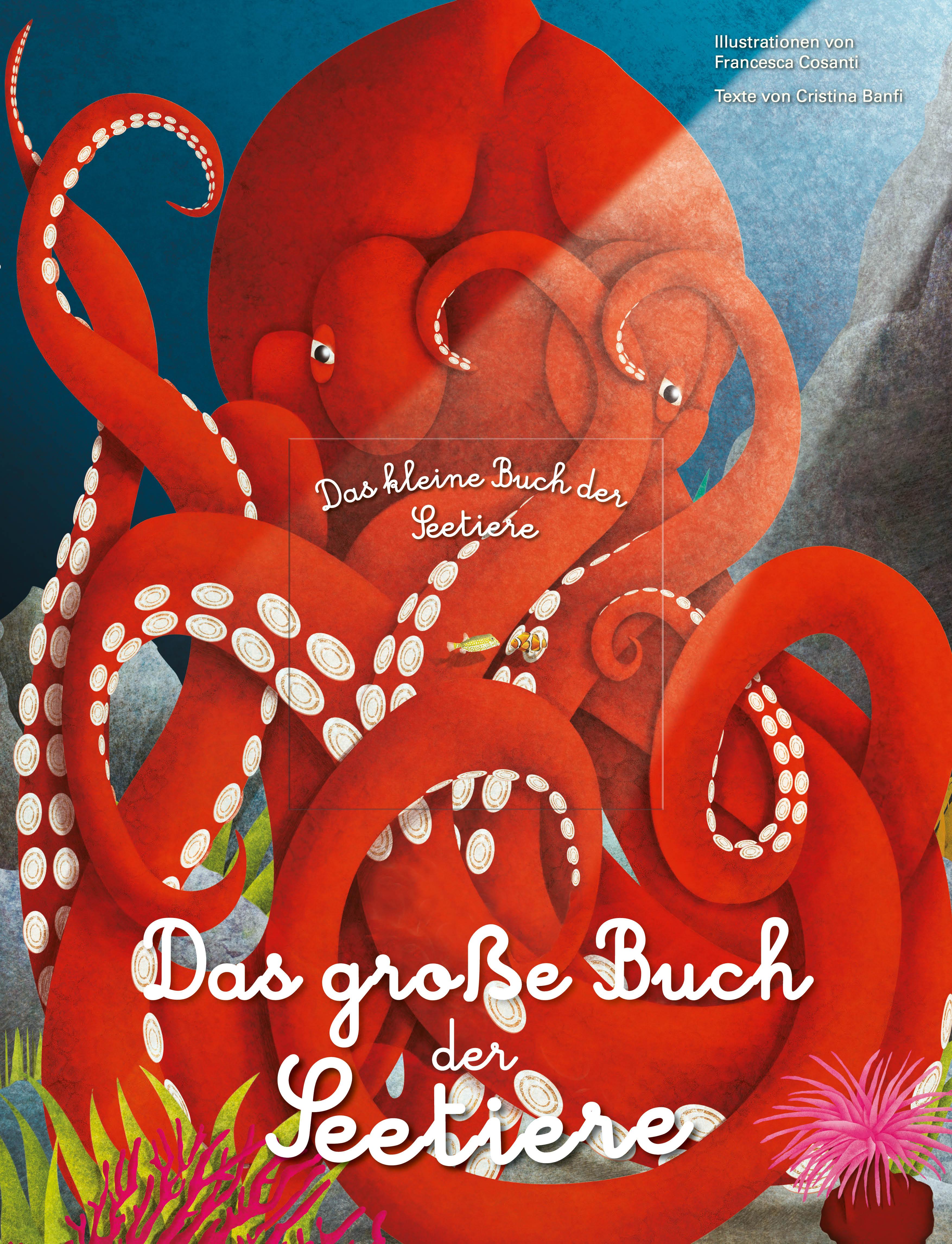 Vorderes Coverbild Das große Buch der Seetiere. Das kleine Buch der Seetiere