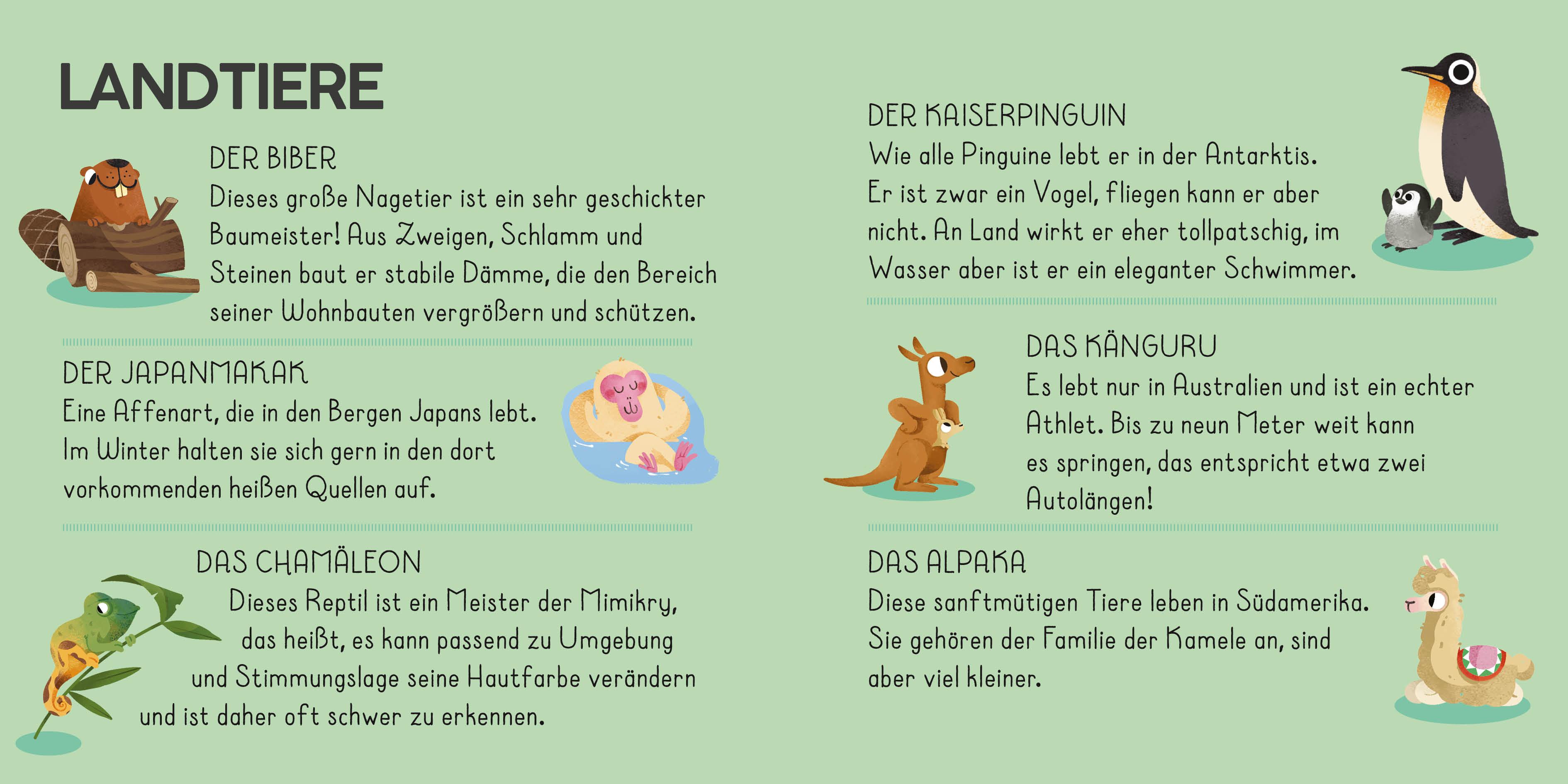 Beispielinhalt (Bild) Die Welt. Meine Erste Puzzle Box