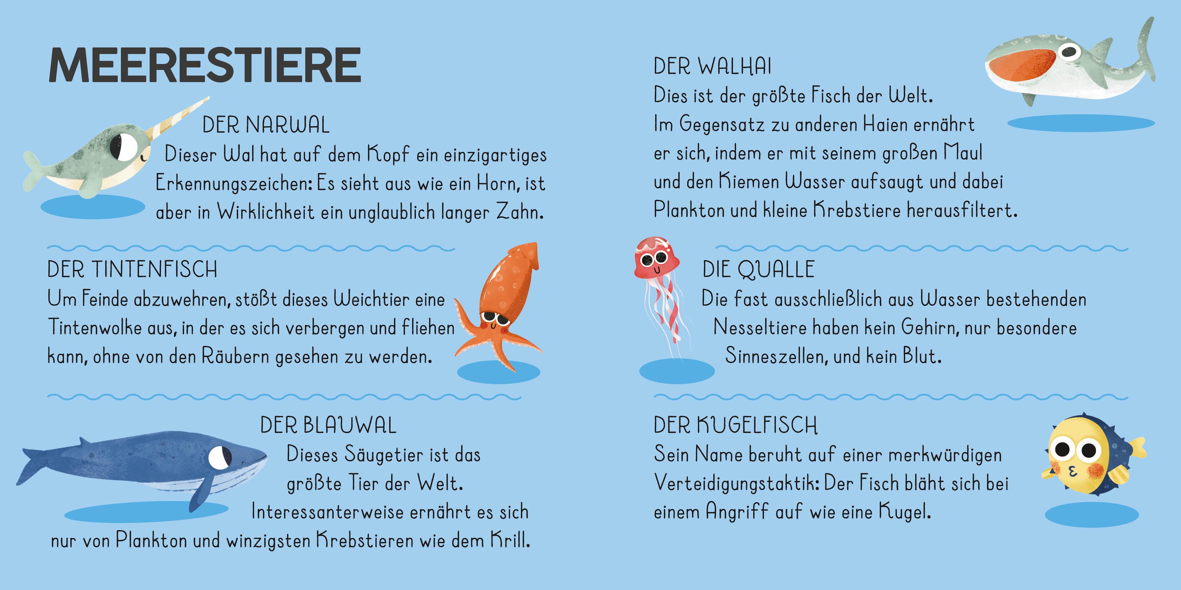 Beispielinhalt (Bild) Die Welt. Meine Erste Puzzle Box