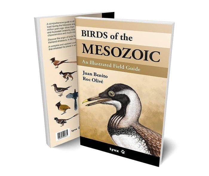Vorderes Coverbild Birds of the Mesozoic