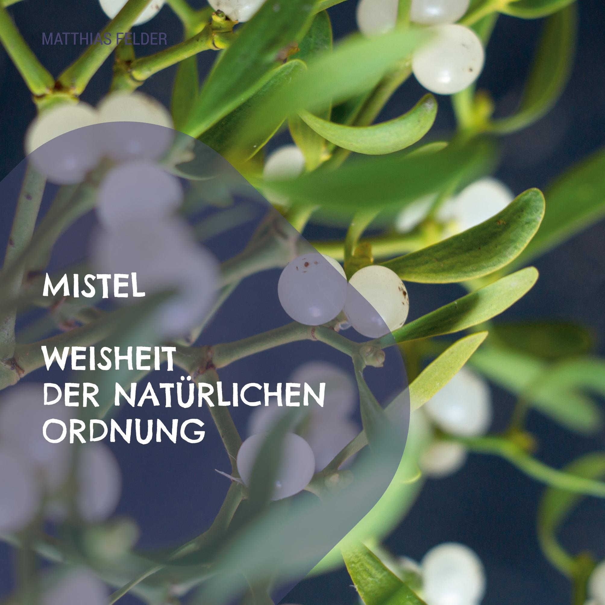 Vorderes Coverbild Mistel - Weisheit der natürlichen Ordnung