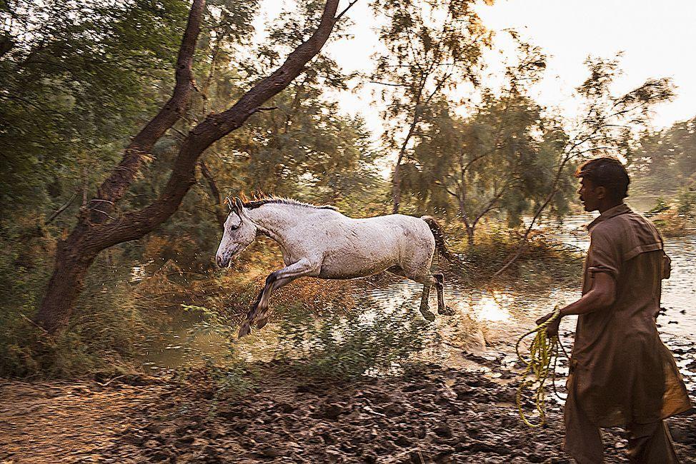 Beispielinhalt (Bild) PAKISTAN