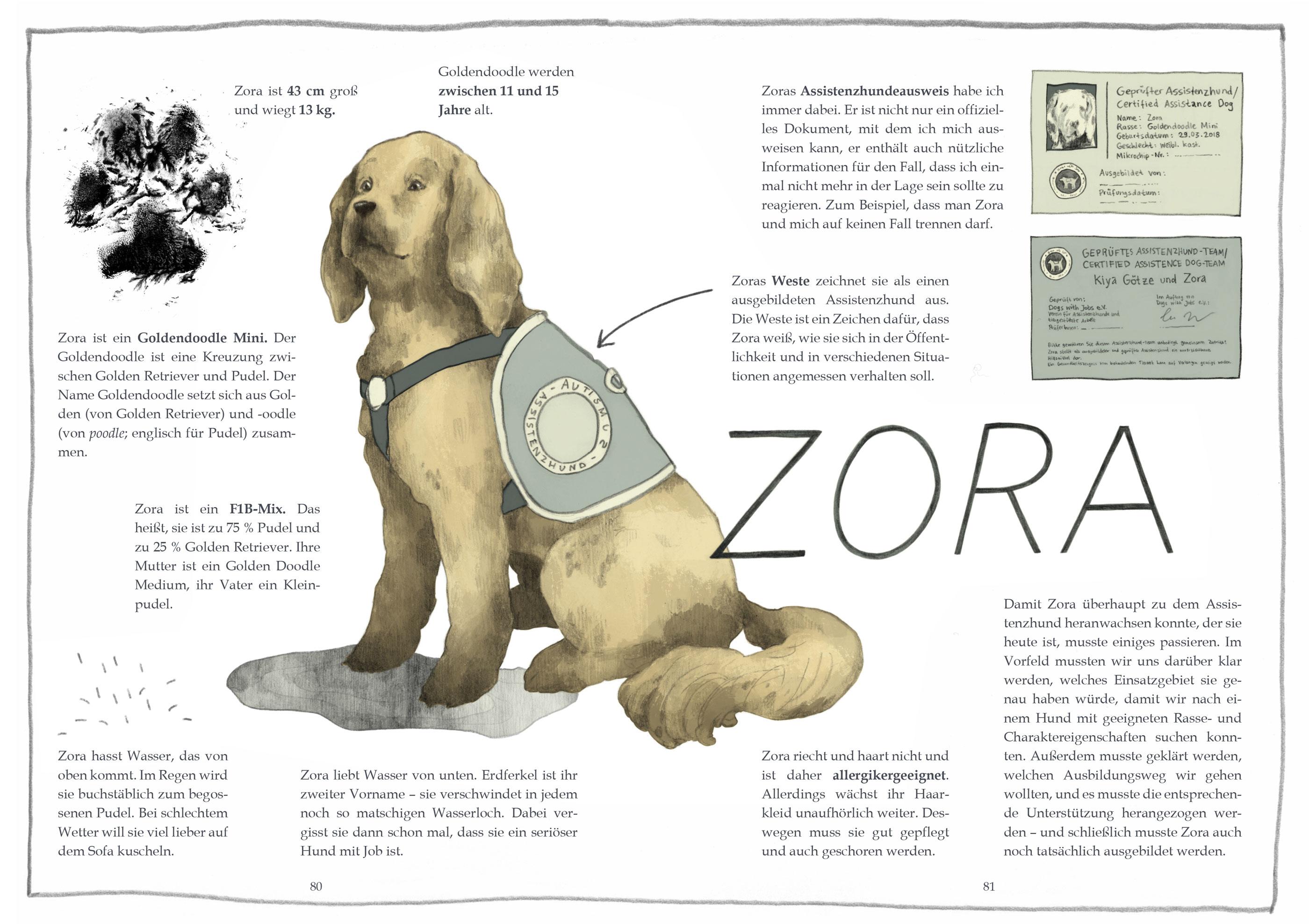 Beispielinhalt (Bild) Bingo mit Zora