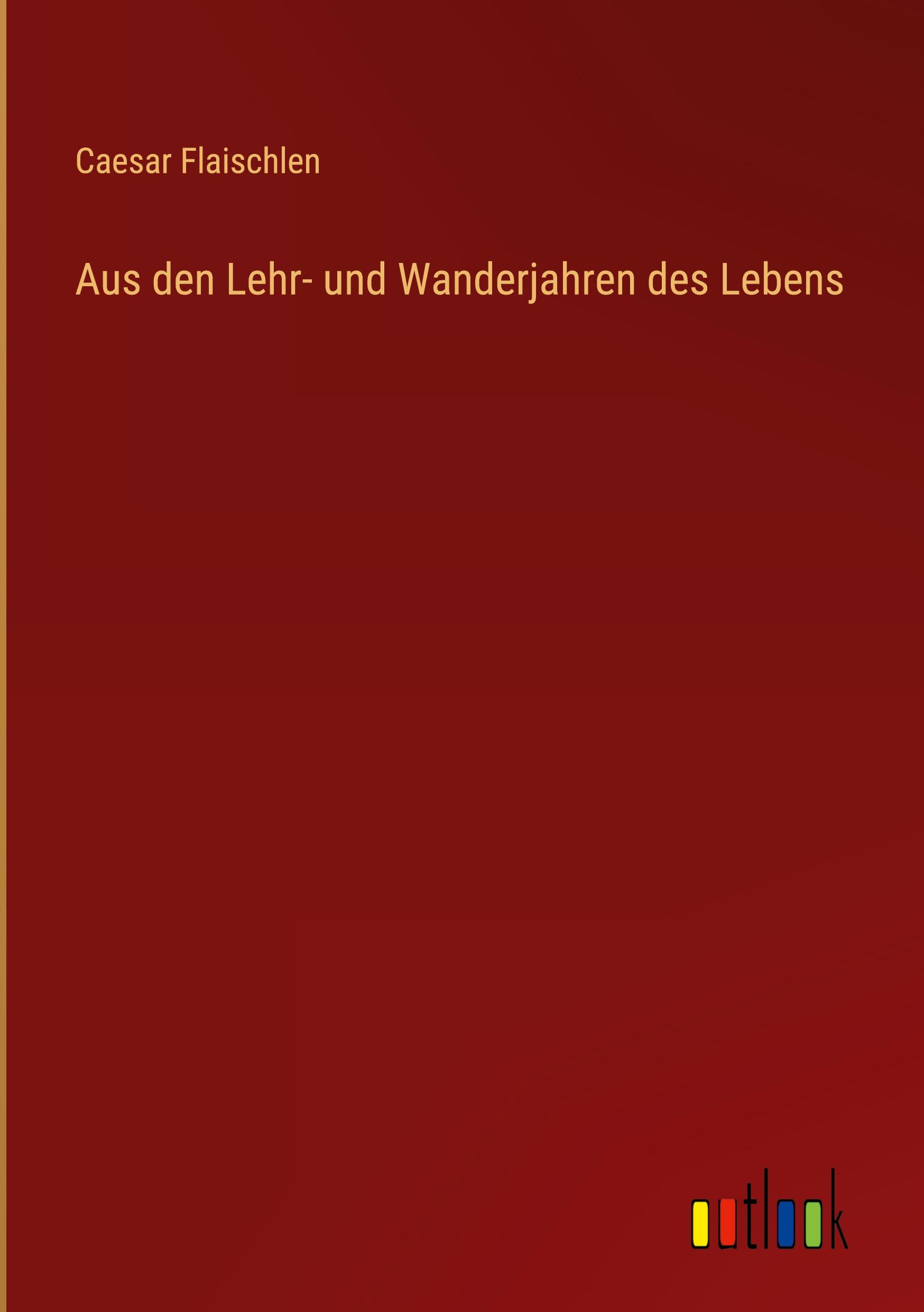 Vorderes Coverbild Aus den Lehr- und Wanderjahren des Lebens