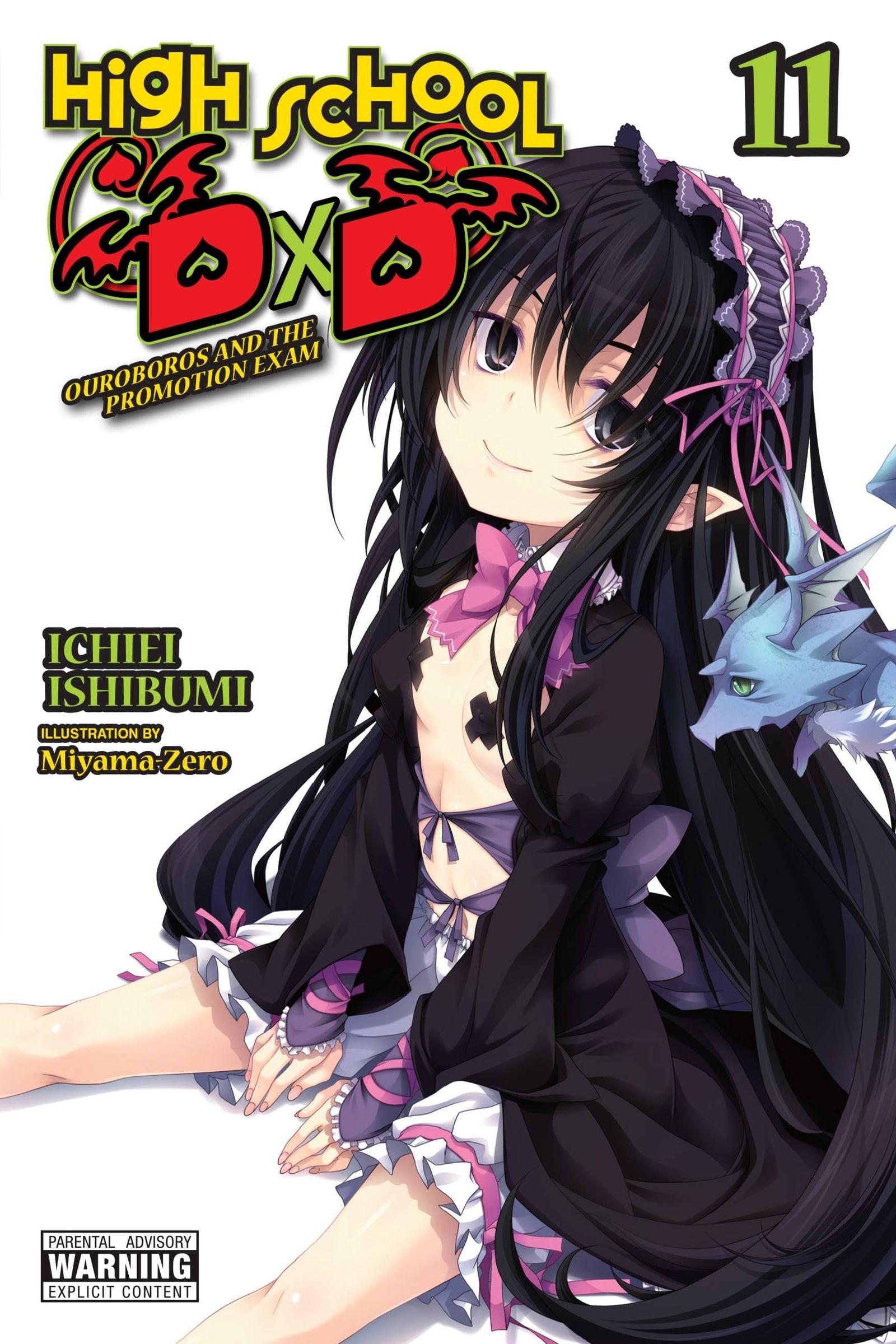 Vorderes Coverbild High School DXD, Vol. 11 (Light Novel)