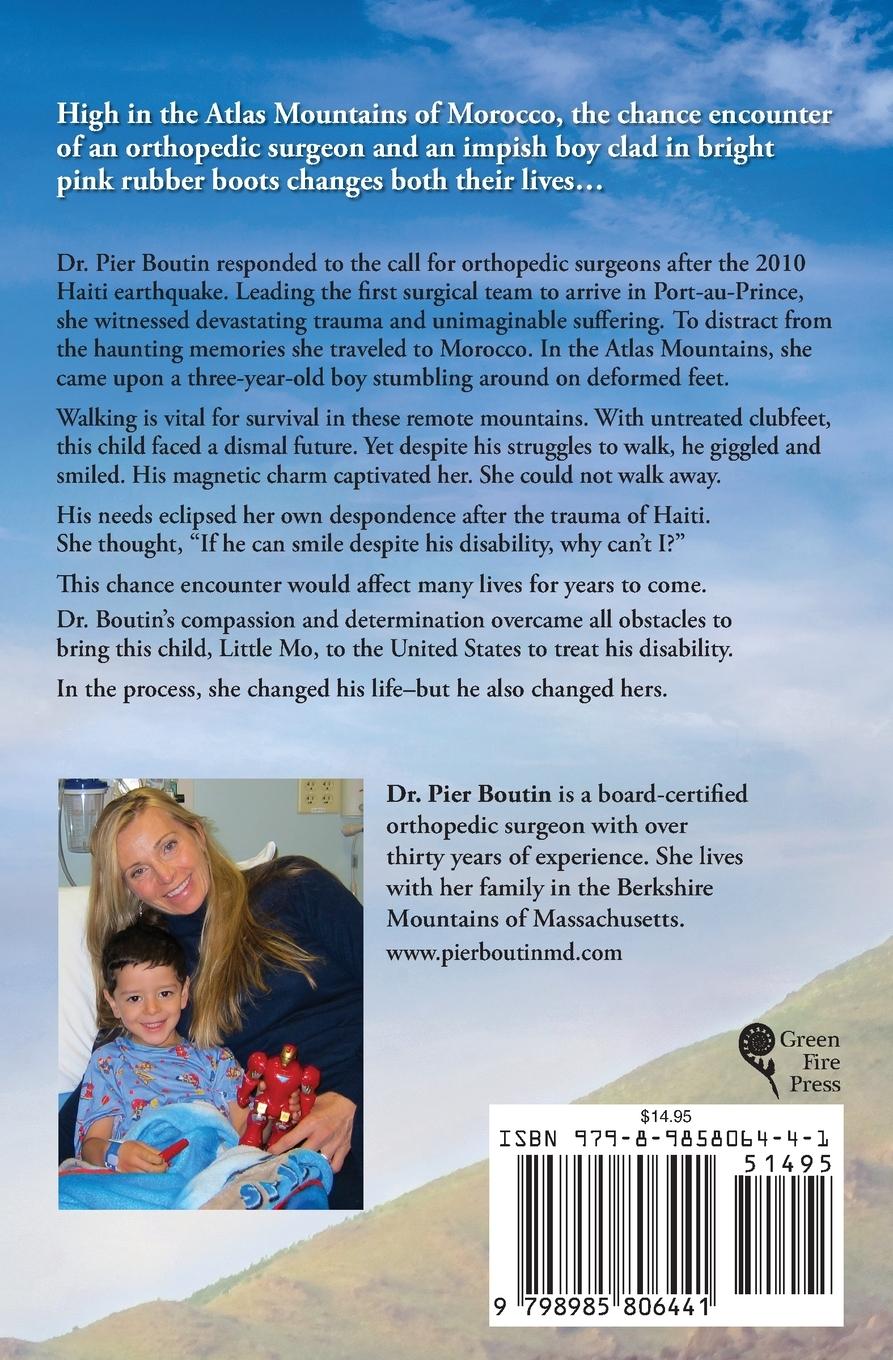 Rückseitencover The Little Mo Effect