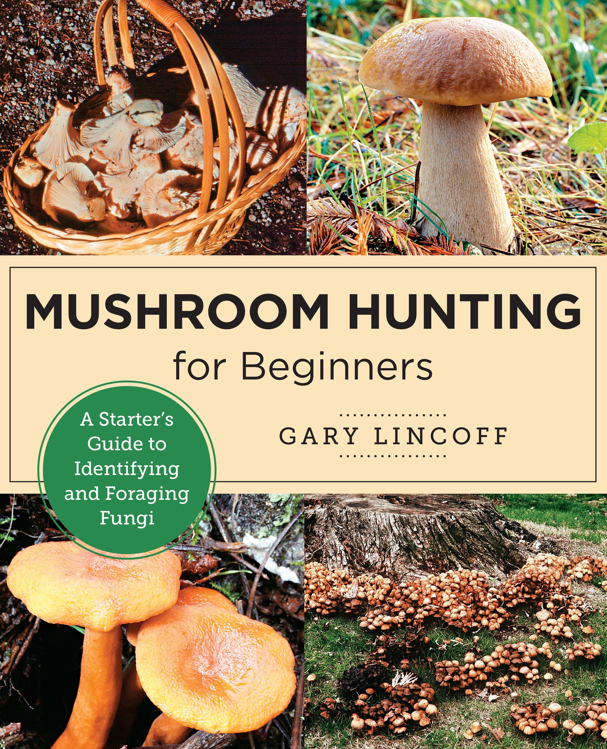 Vorderes Coverbild Mushroom Hunting for Beginners