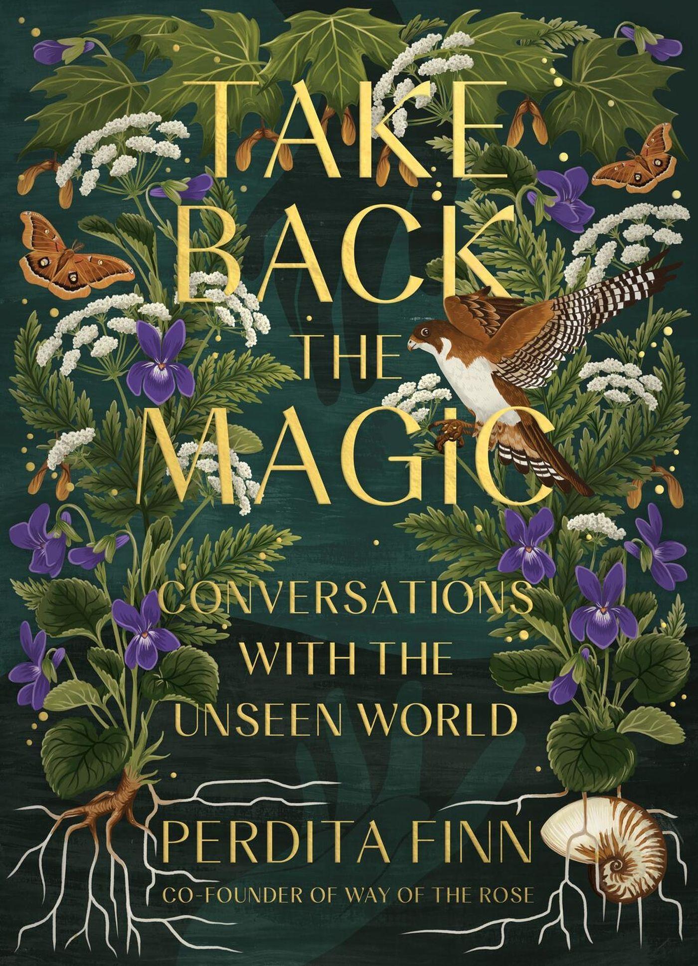 Vorderes Coverbild Take Back the Magic