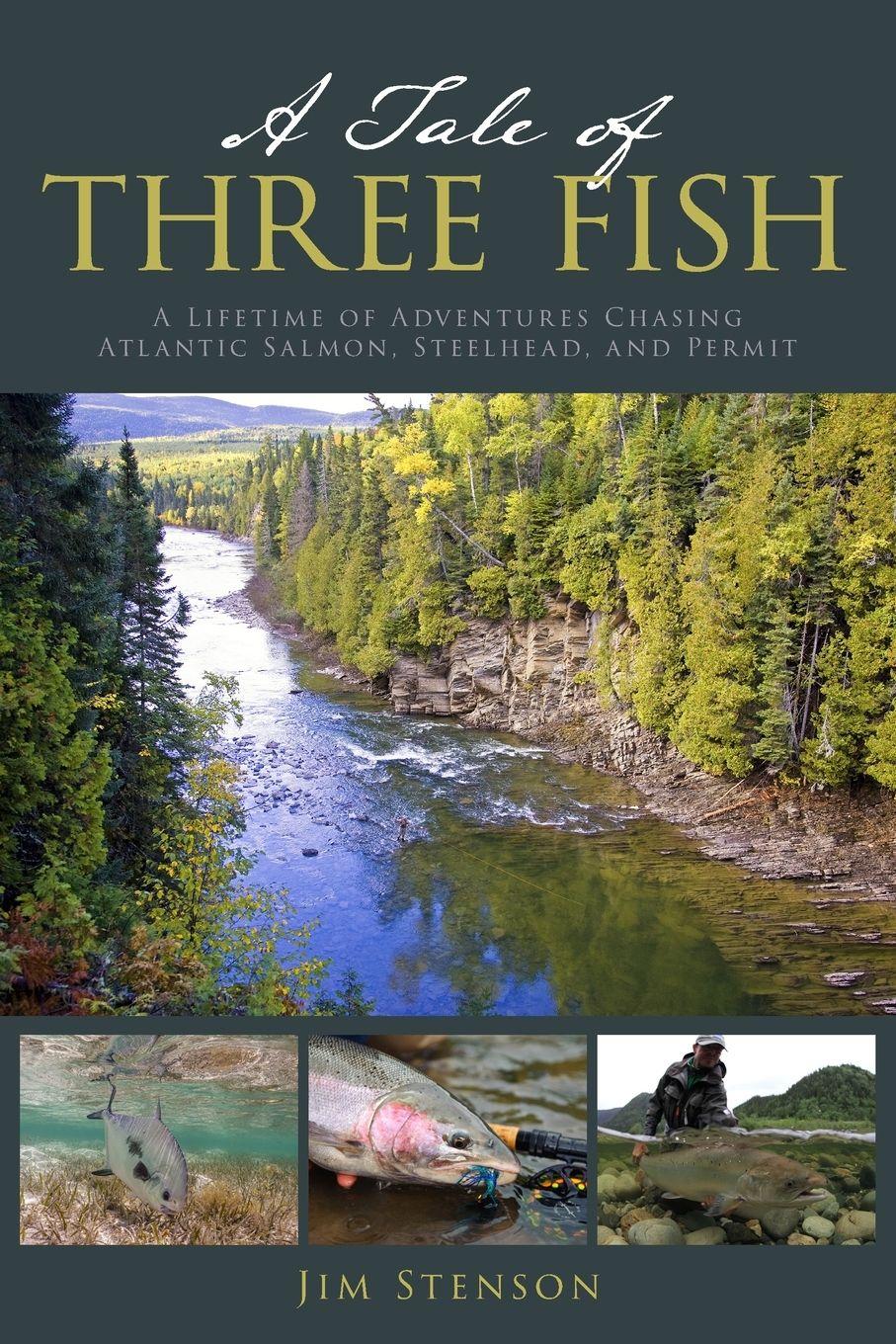 Vorderes Coverbild A Tale of Three Fish