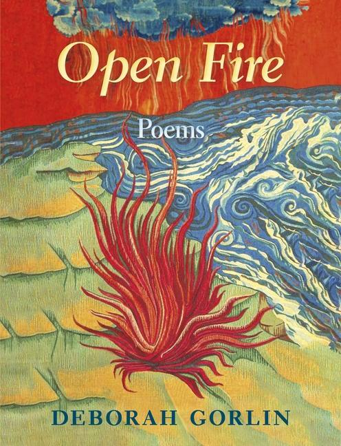 Vorderes Coverbild Open Fire