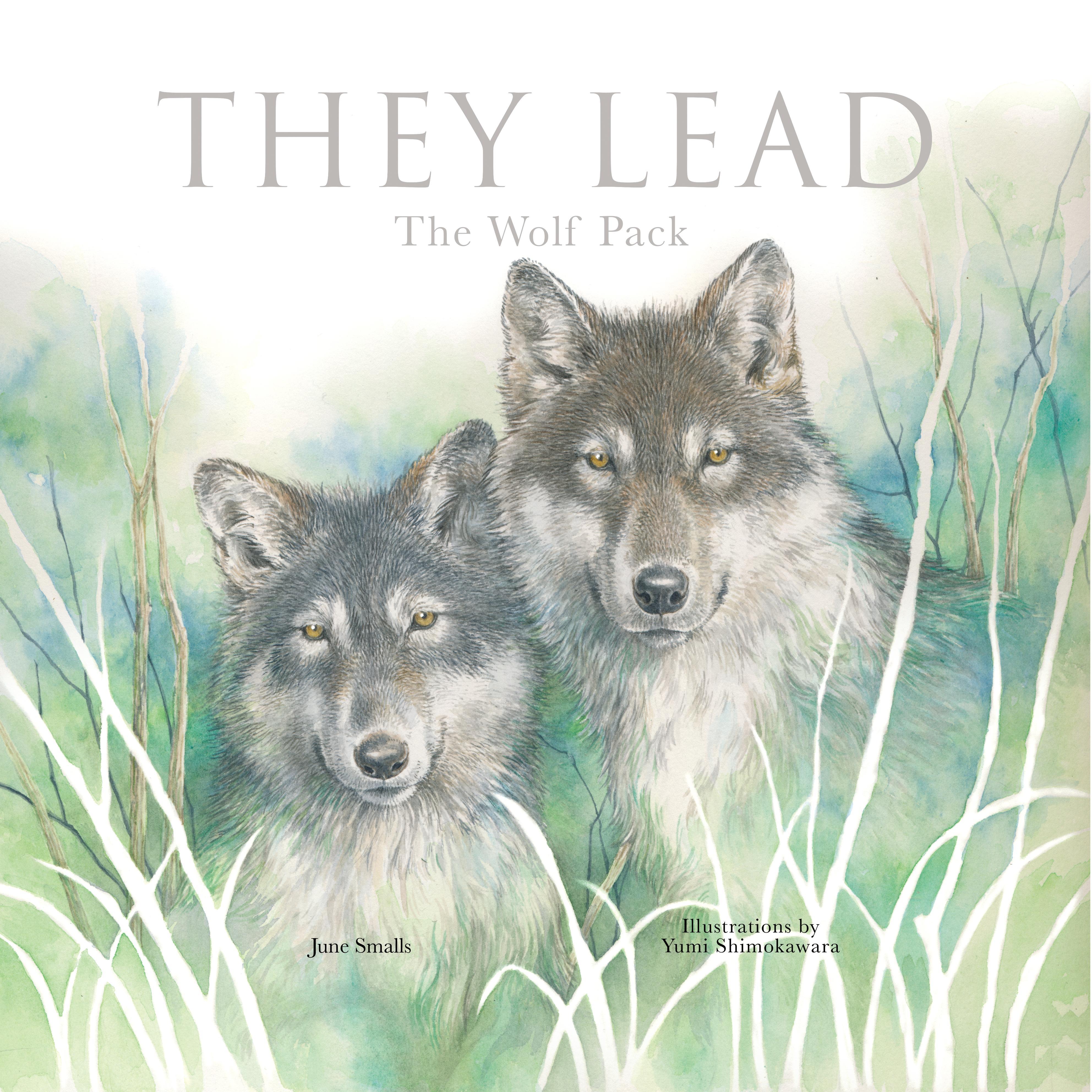 Vorderes Coverbild They Lead