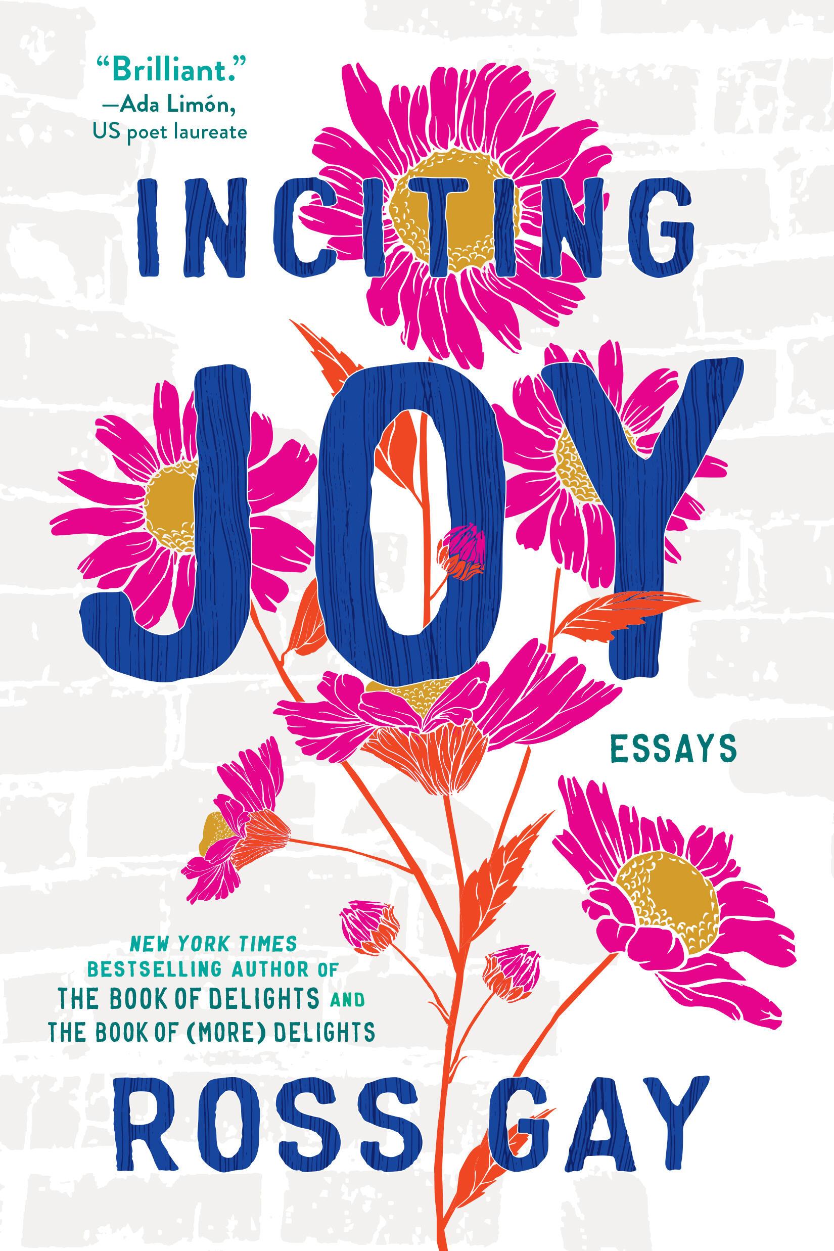 Vorderes Coverbild Inciting Joy