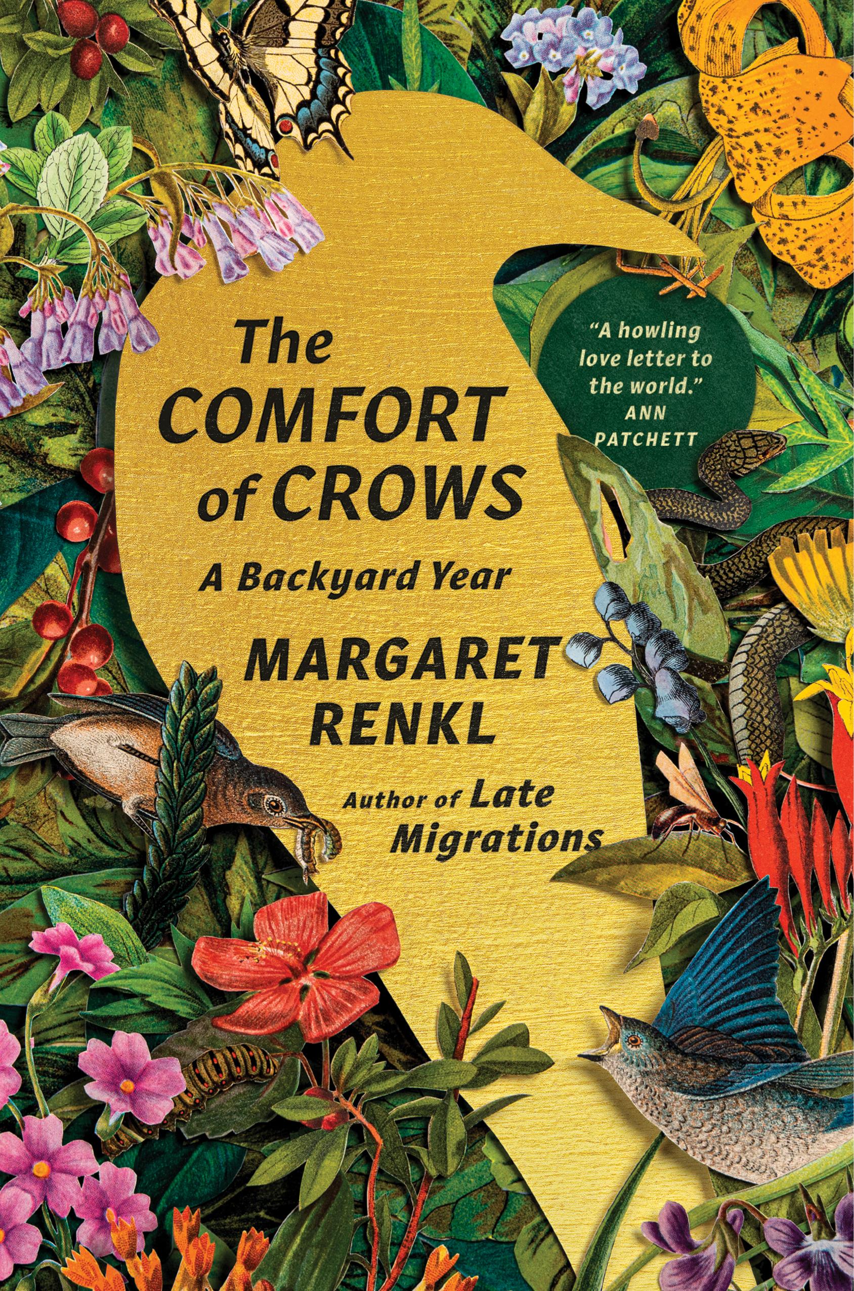 Vorderes Coverbild The Comfort of Crows (Reese's Book Club Pick)