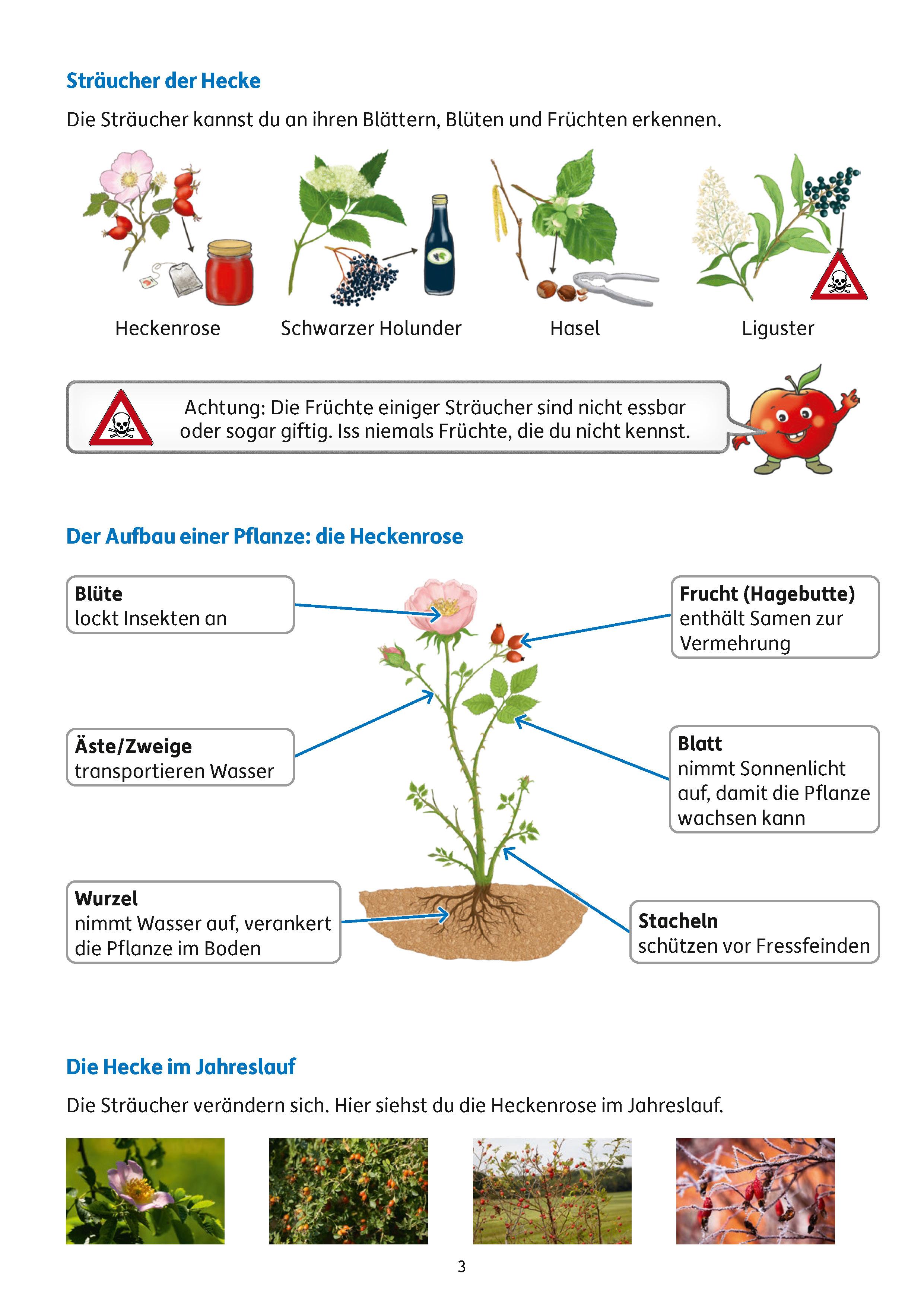 Beispielinhalt (Bild) Übungsheft mit Tests im Sachunterricht 2. Klasse